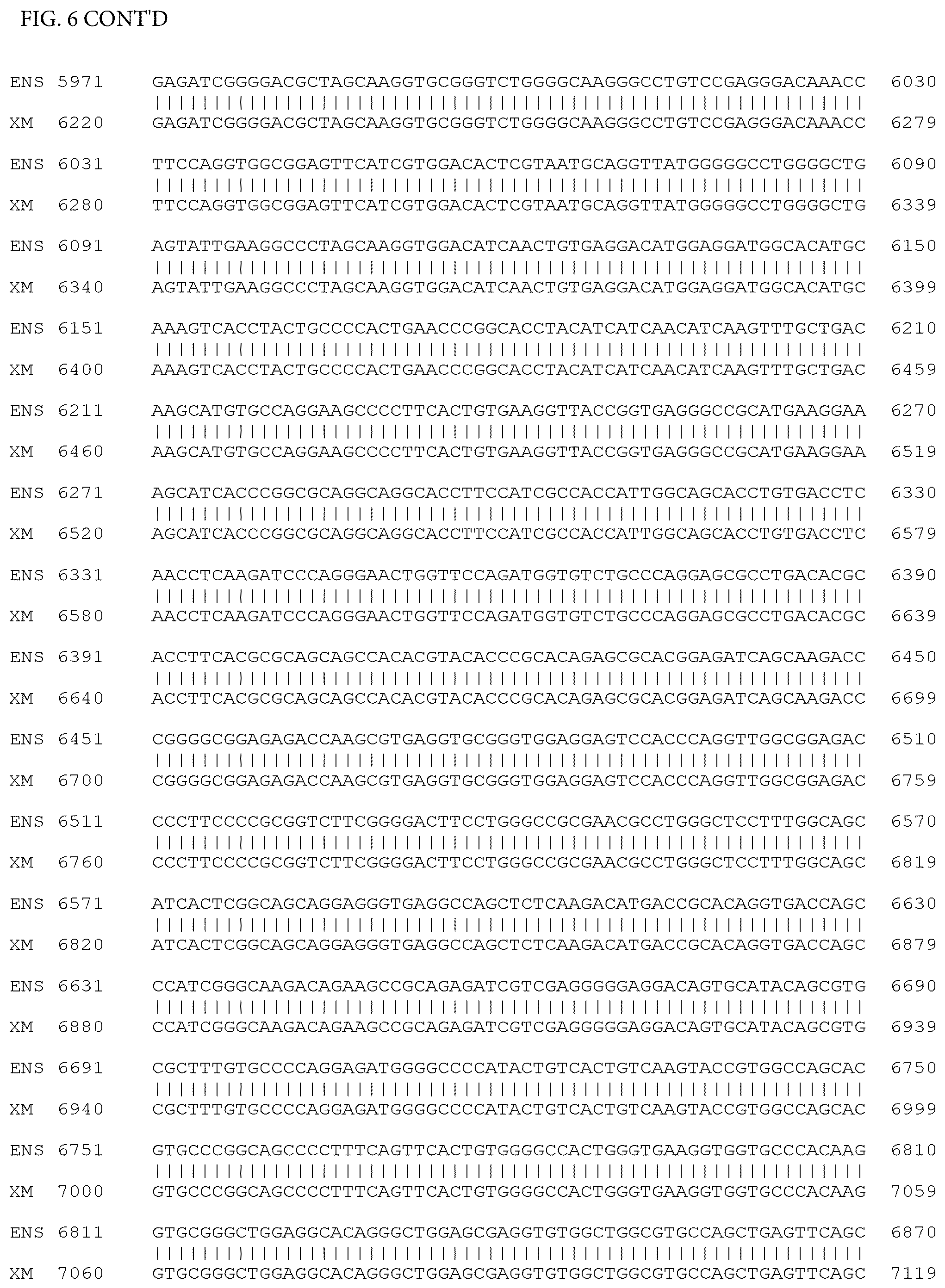 Patent US12497659 Figure 13 – Method of detecting inherited equine myopathy