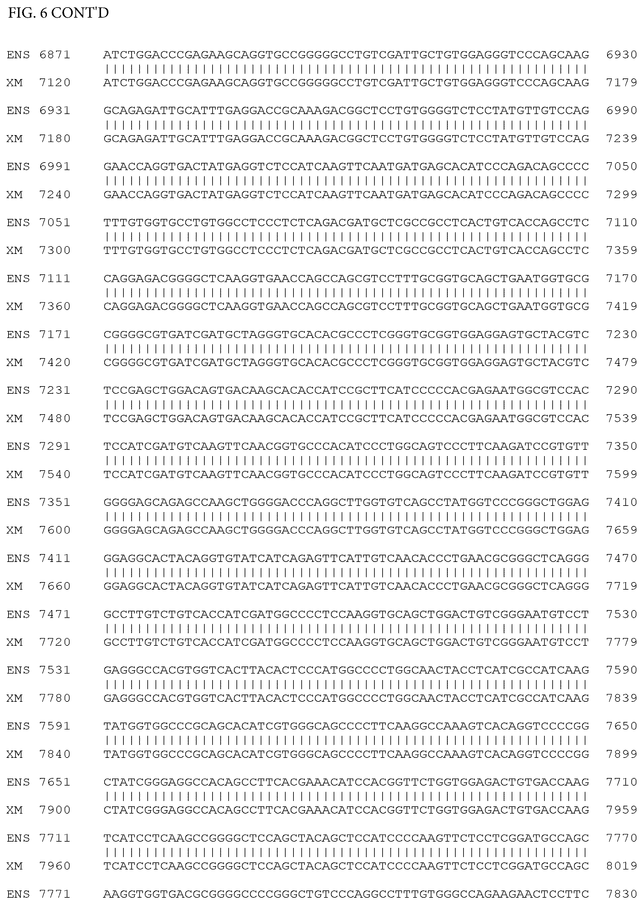 Patent US12497659 Figure 14 – Method of detecting inherited equine myopathy