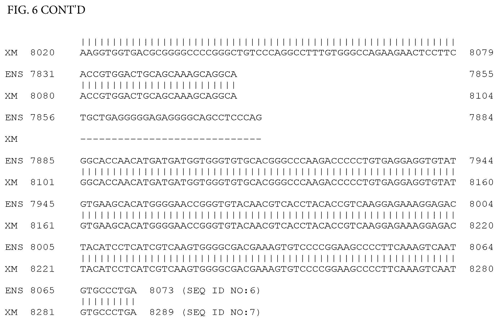 Patent US12497659 Figure 15 – Method of detecting inherited equine myopathy