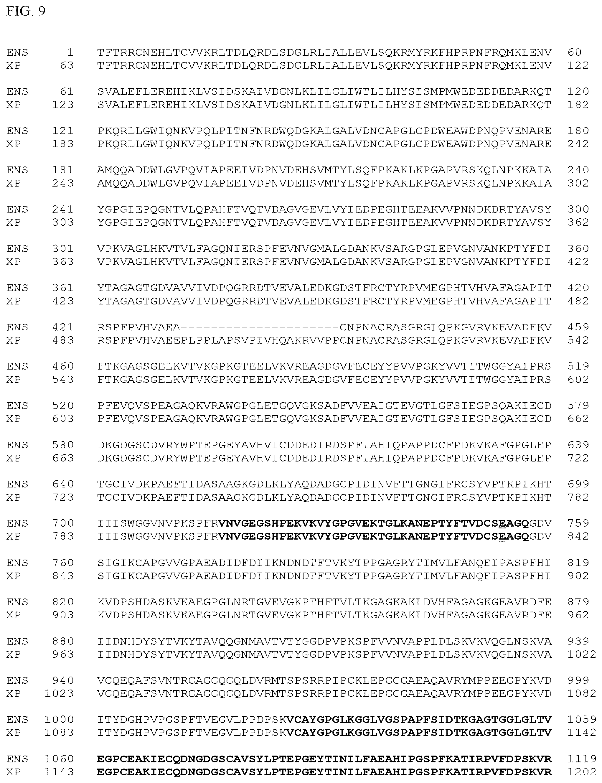 Patent US12497659 Figure 18 – Method of detecting inherited equine myopathy