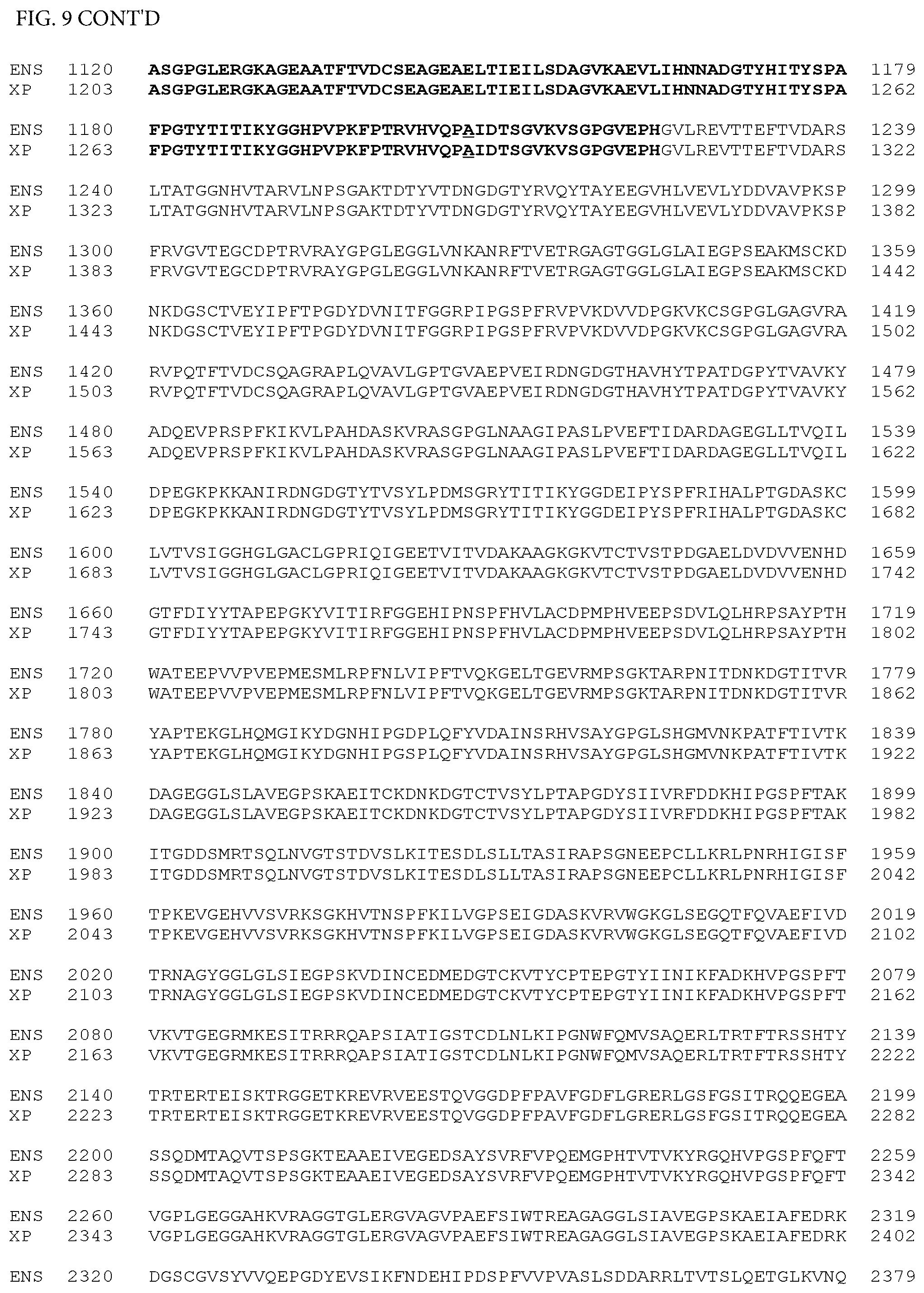 Patent US12497659 Figure 19 – Method of detecting inherited equine myopathy