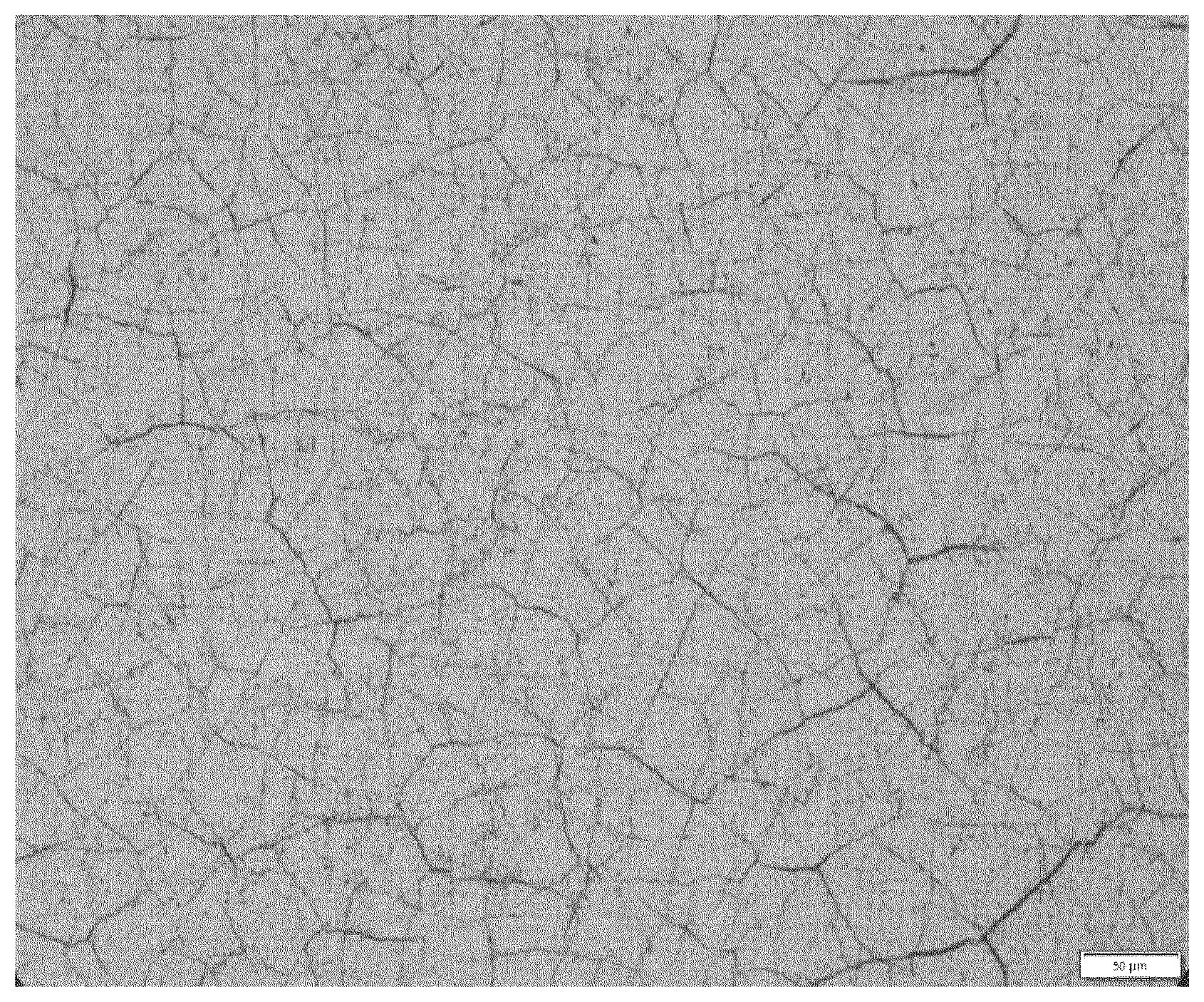 Patent US12504074 Figure 1 – Piston ring having a wear protection layer containing particles, method for production and use