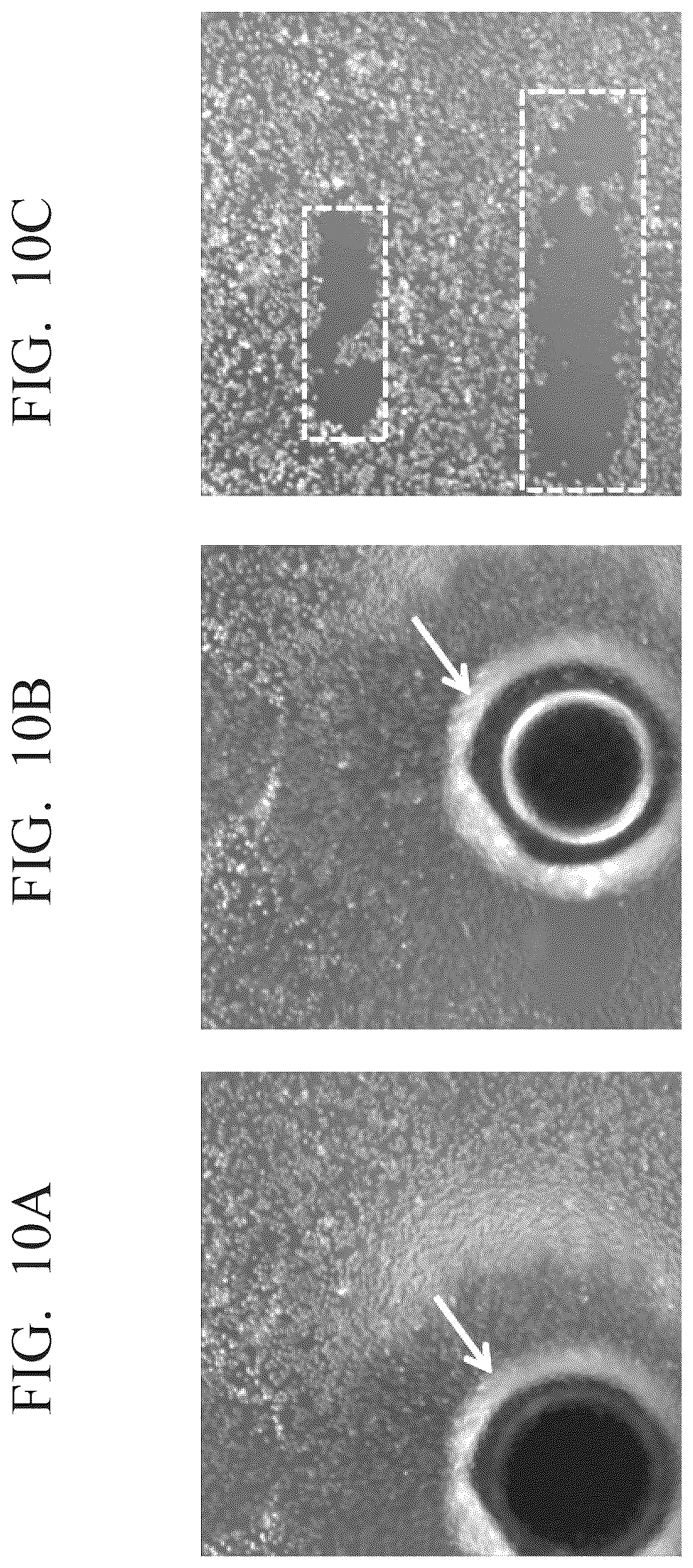Patent US12504353 Figure 10 – Cell manipulation device and cell manipulation method