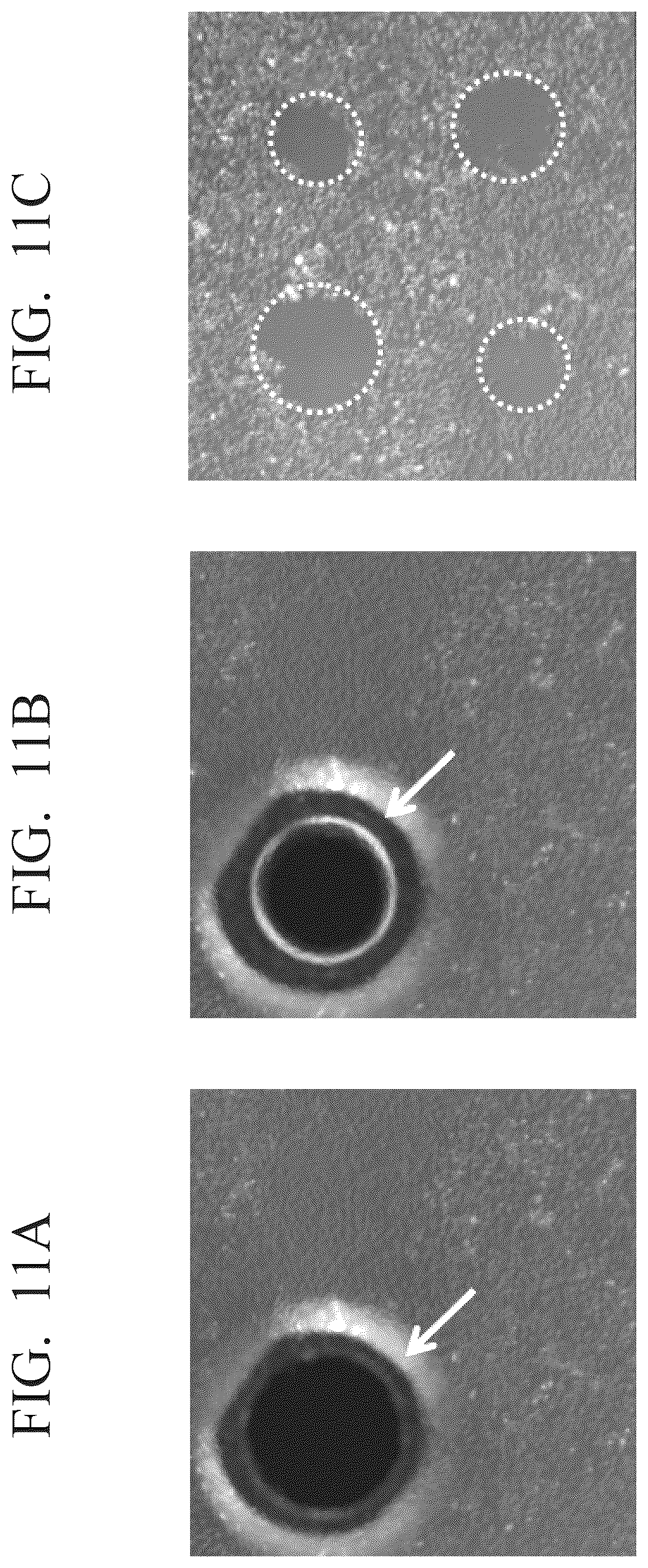 Patent US12504353 Figure 11 – Cell manipulation device and cell manipulation method