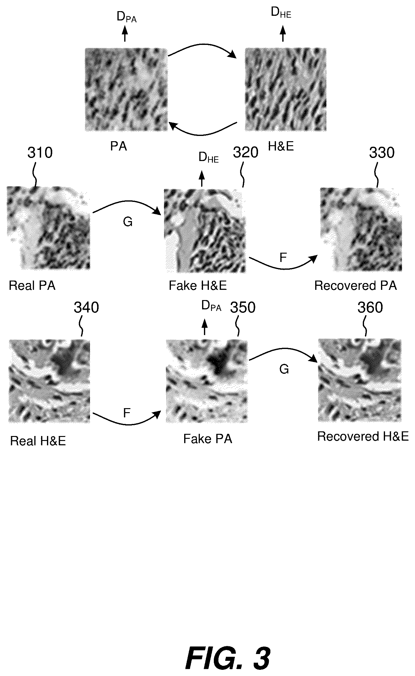 Patent US12504363 Figure 3 – Three-dimensional contoured scanning photoacoustic imaging and virtual staining