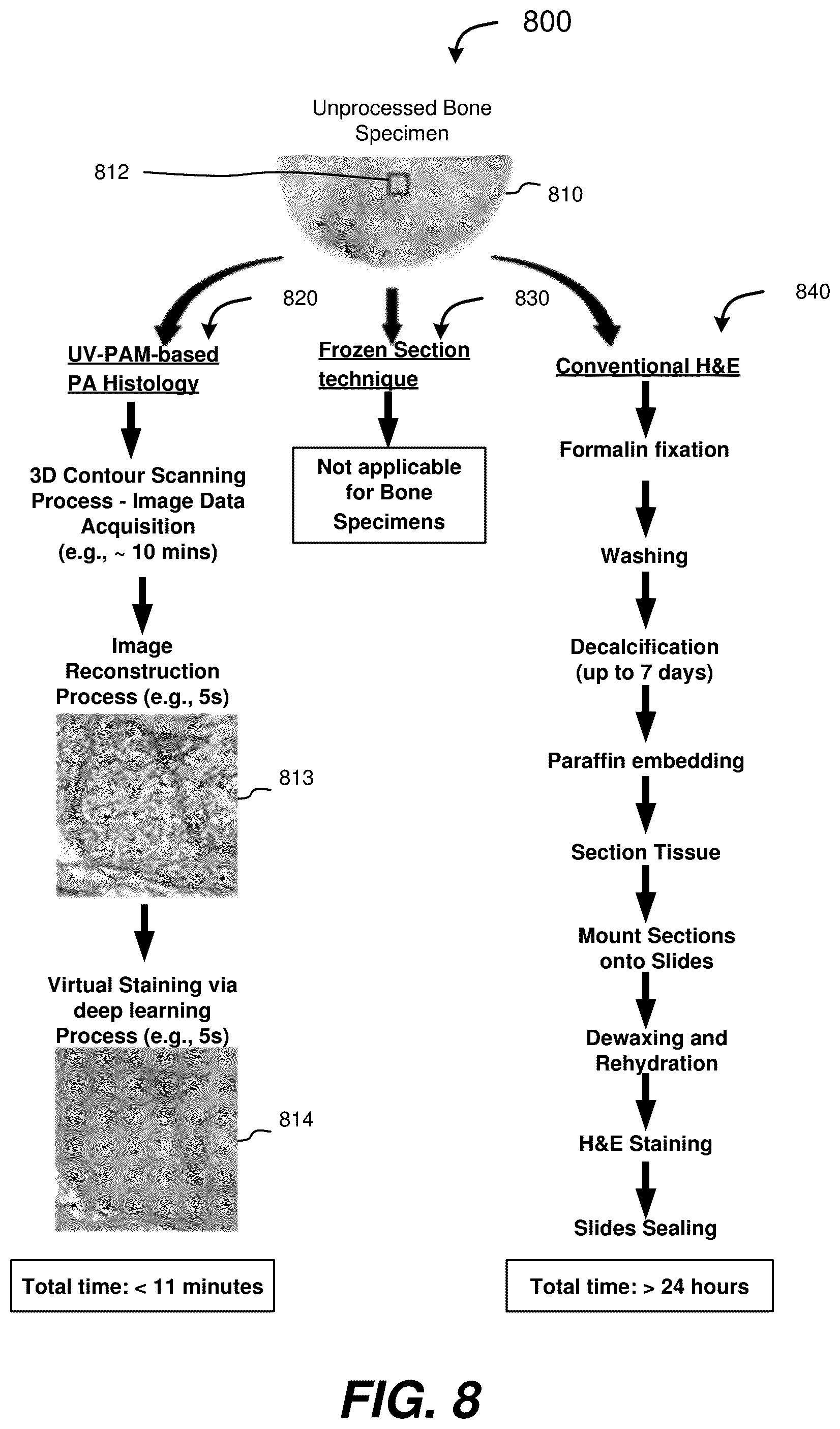 Patent US12504363 Figure 8 – Three-dimensional contoured scanning photoacoustic imaging and virtual staining