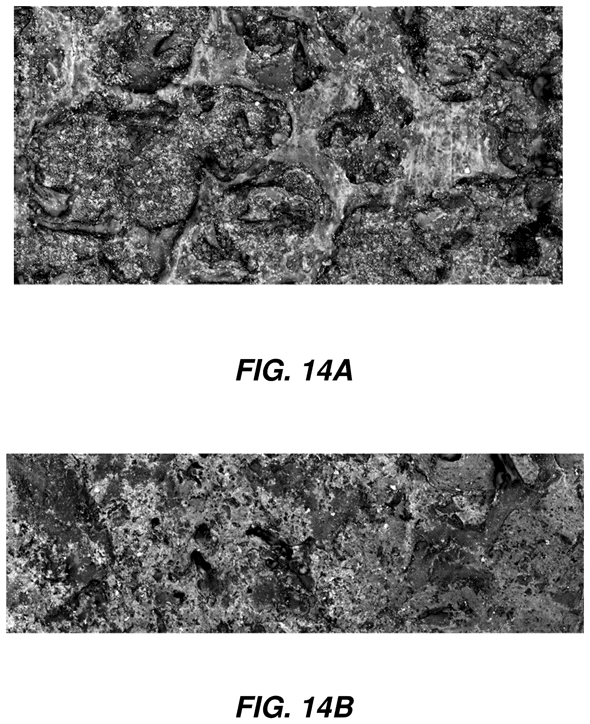 Patent US12504363 Figure 14 – Three-dimensional contoured scanning photoacoustic imaging and virtual staining