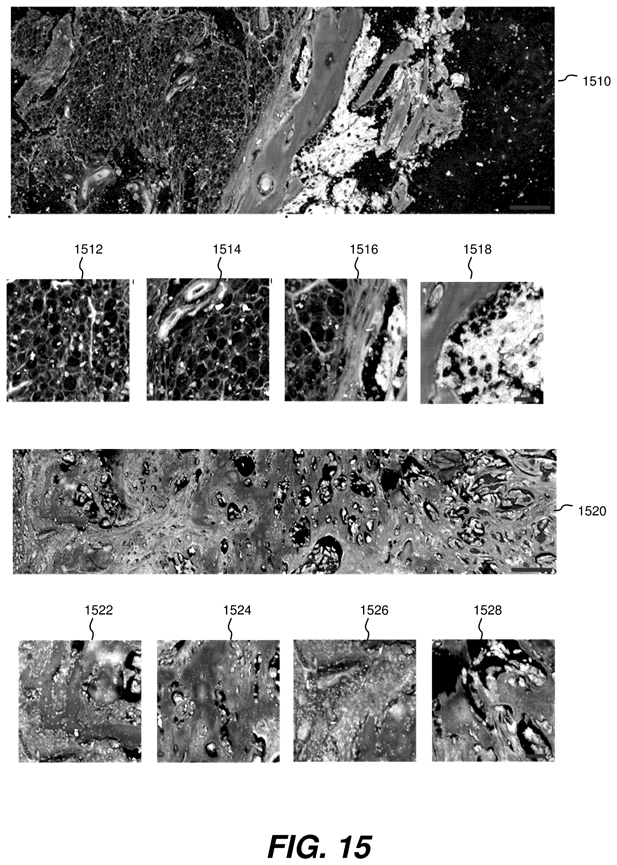 Patent US12504363 Figure 15 – Three-dimensional contoured scanning photoacoustic imaging and virtual staining