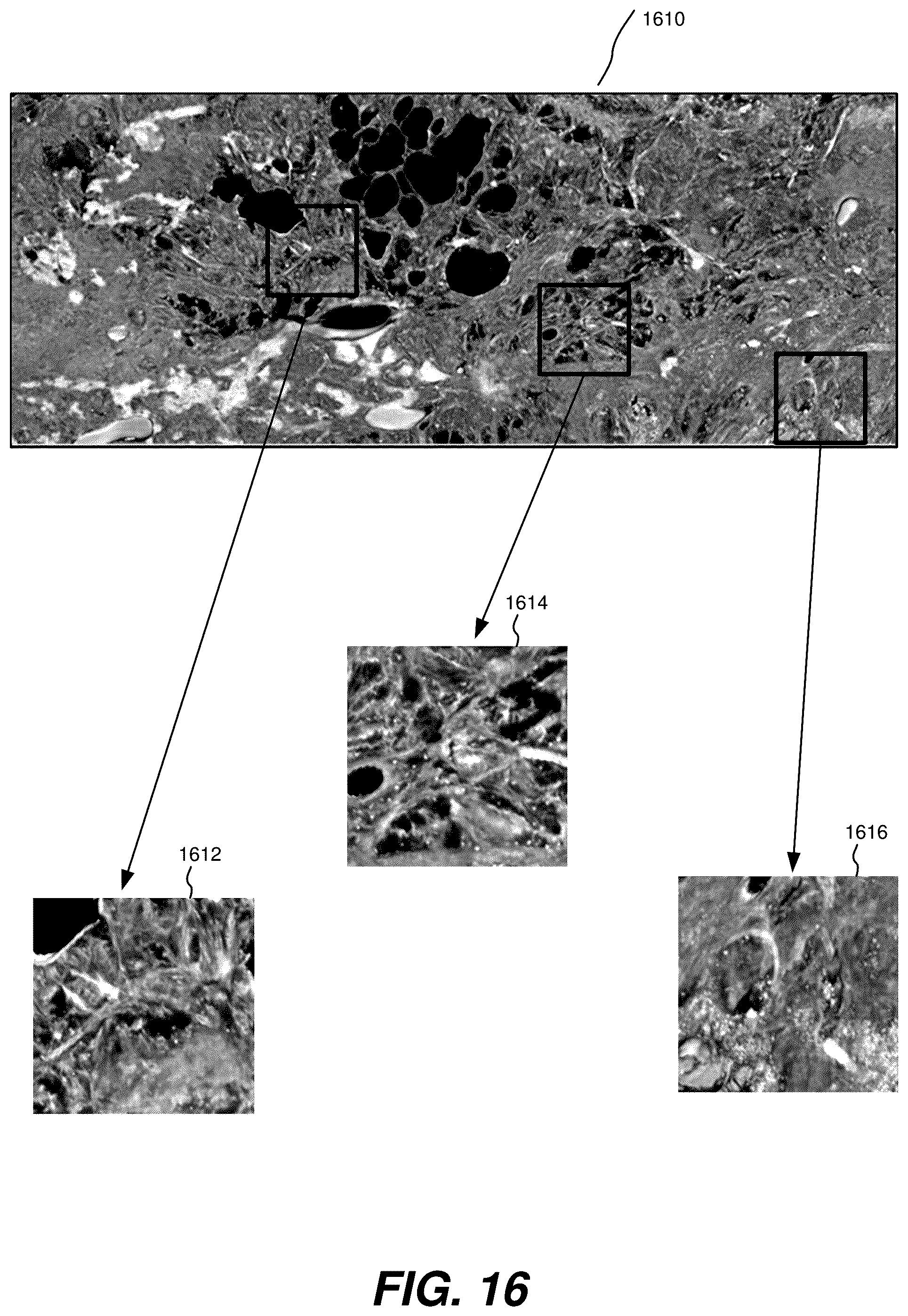 Patent US12504363 Figure 16 – Three-dimensional contoured scanning photoacoustic imaging and virtual staining