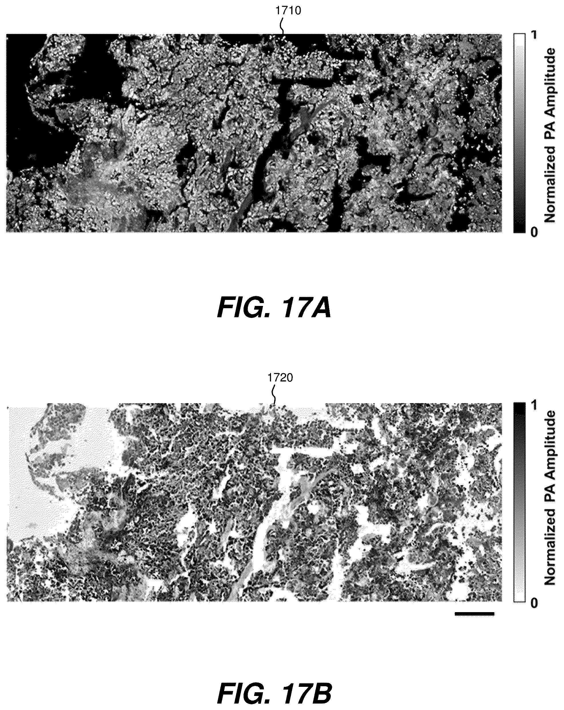 Patent US12504363 Figure 17 – Three-dimensional contoured scanning photoacoustic imaging and virtual staining