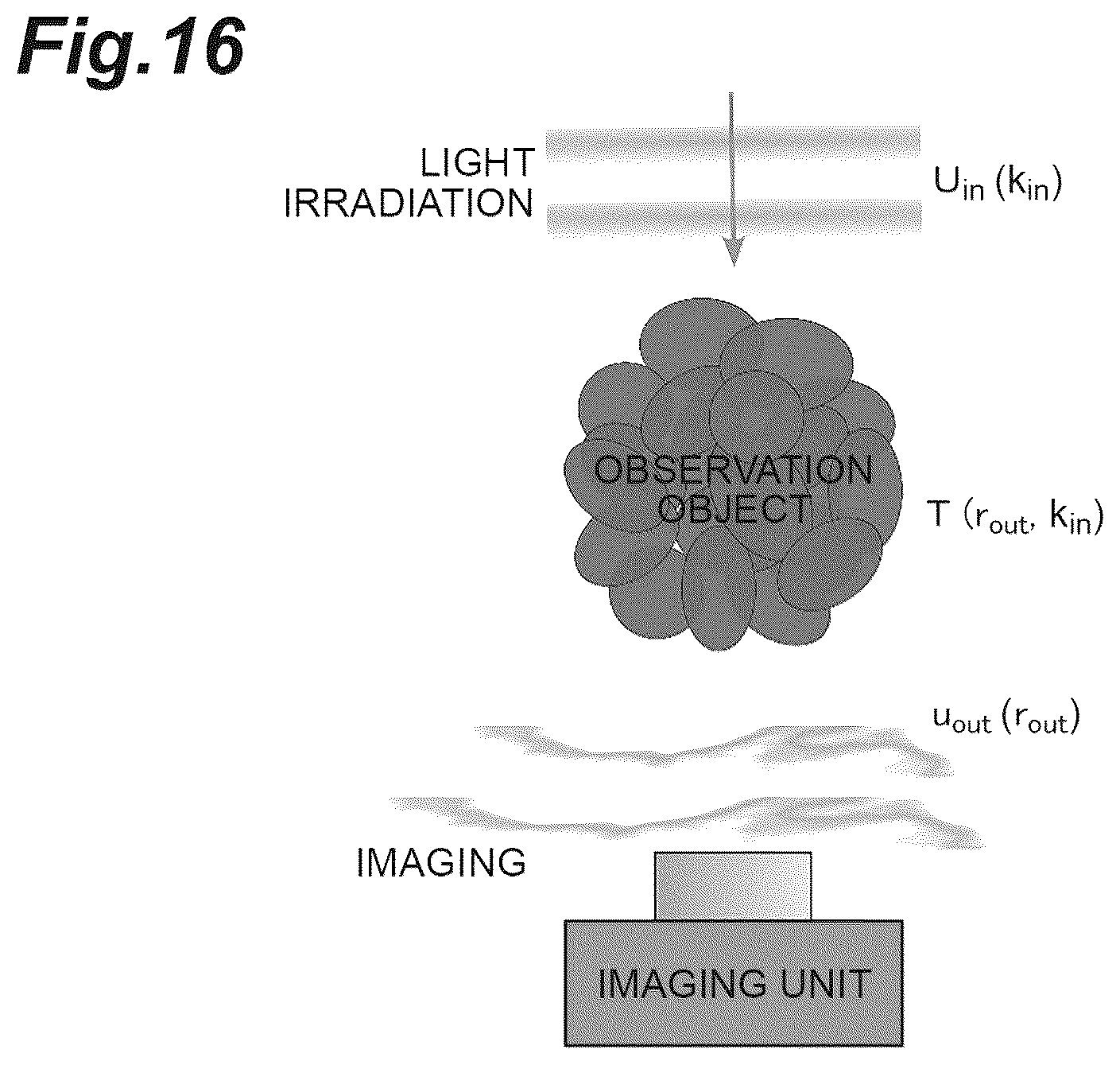 Patent US12504370 Figure 16 – Observation device and observation method