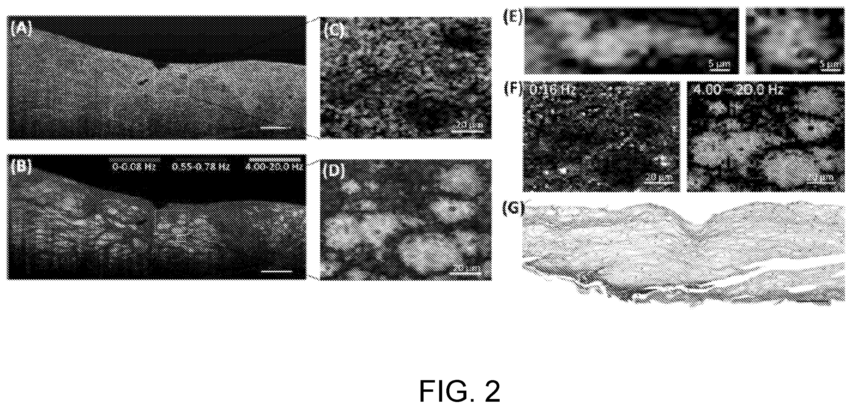 Patent US12504371 Figure 2 – System and method of dynamic micro-optical coherence tomography for mapping cellular functions
