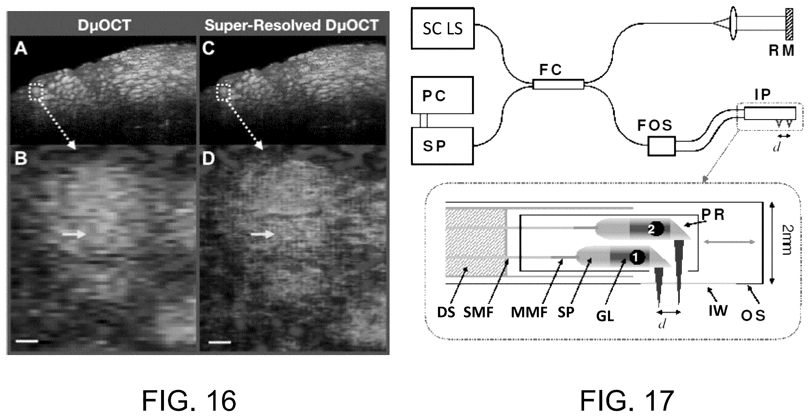 Patent US12504371 Figure 13 – System and method of dynamic micro-optical coherence tomography for mapping cellular functions