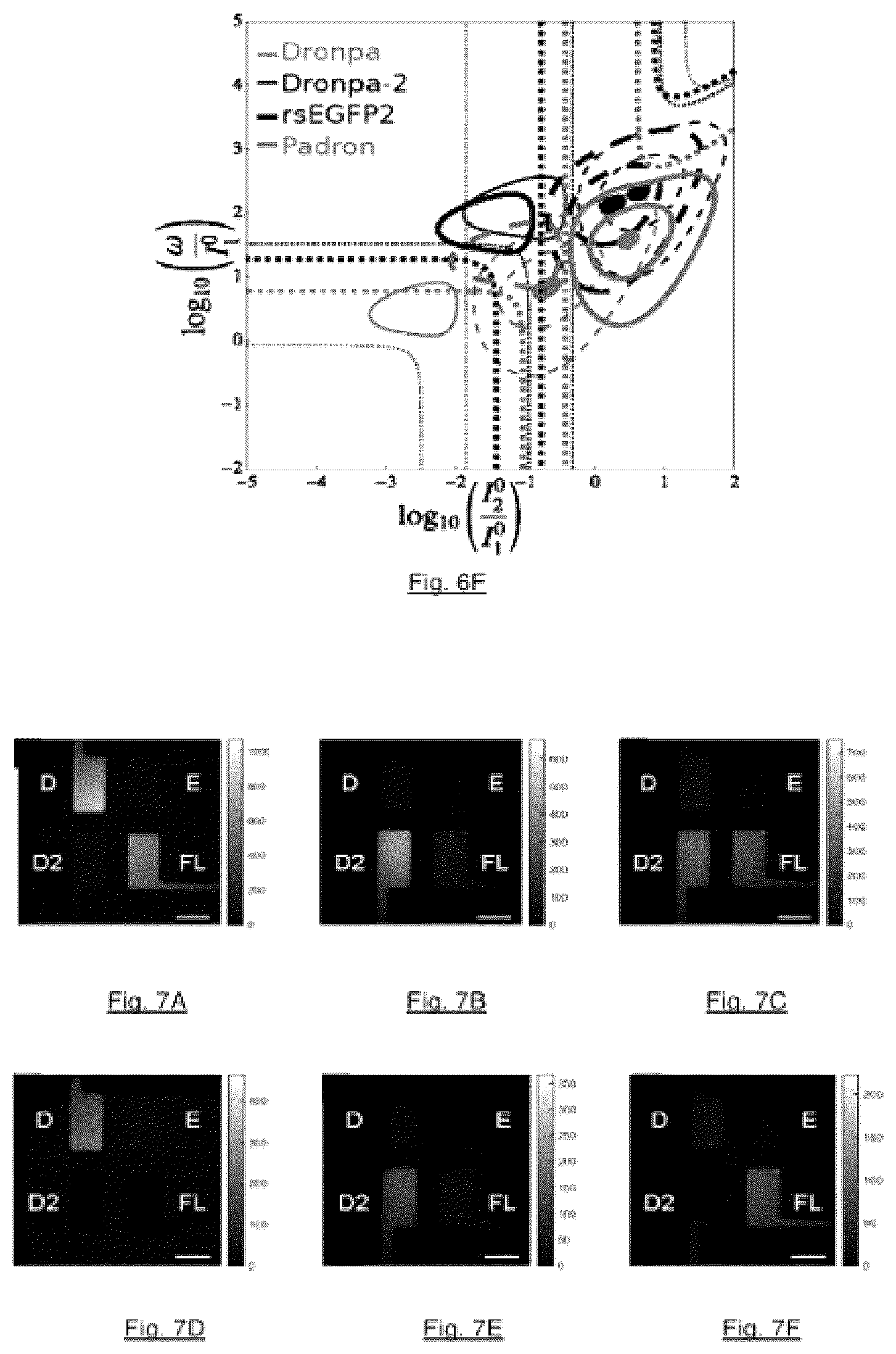 Patent US12504374 Figure 19 – Method for detecting a reversibly photoswitchable chemical species in a sample