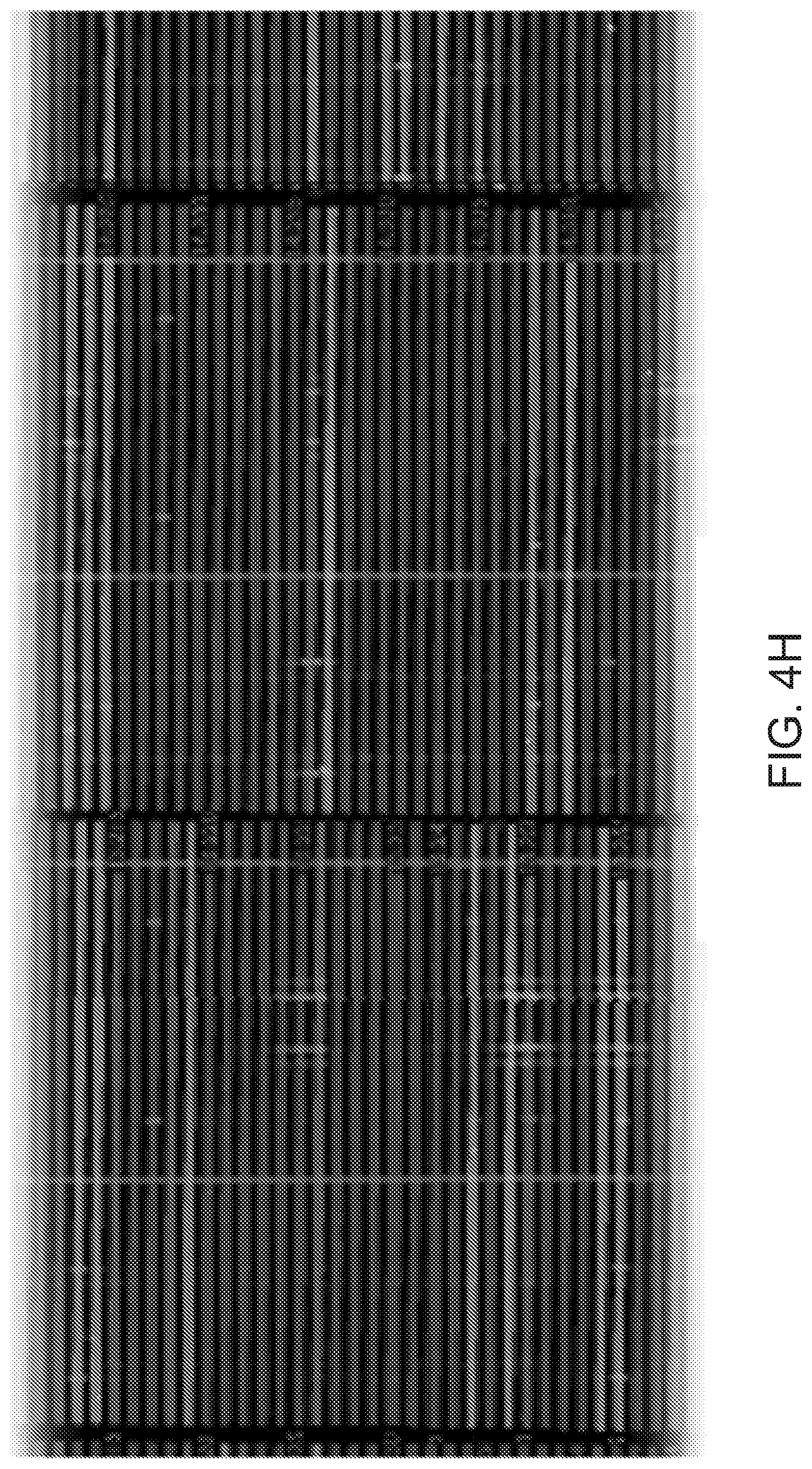 Patent US12504378 Figure 14 – Systems, devices and methods for cell capture and methods of manufacture thereof