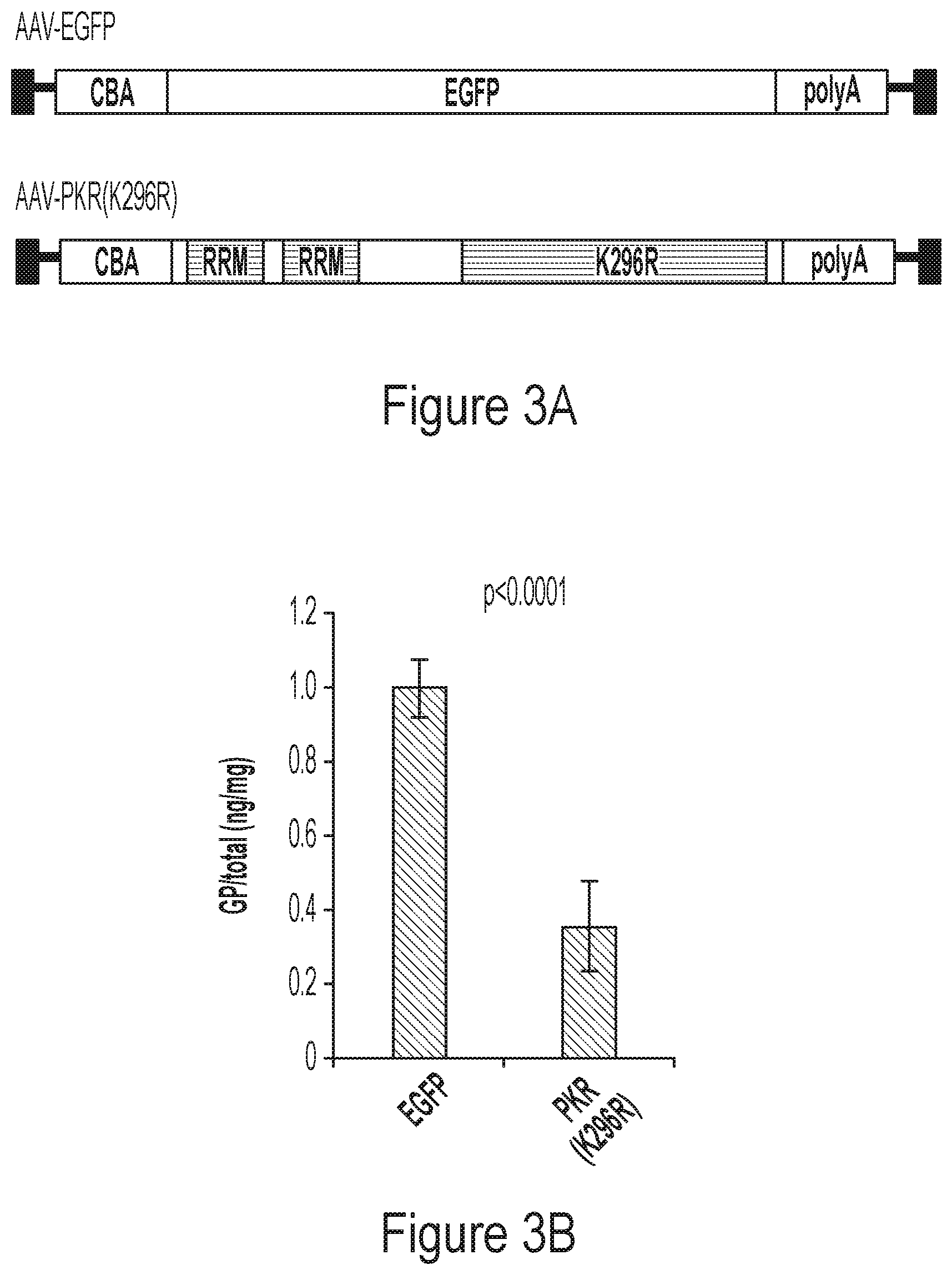 Patent US12504380 Figure 5 – Immunoassays for detection of ran proteins