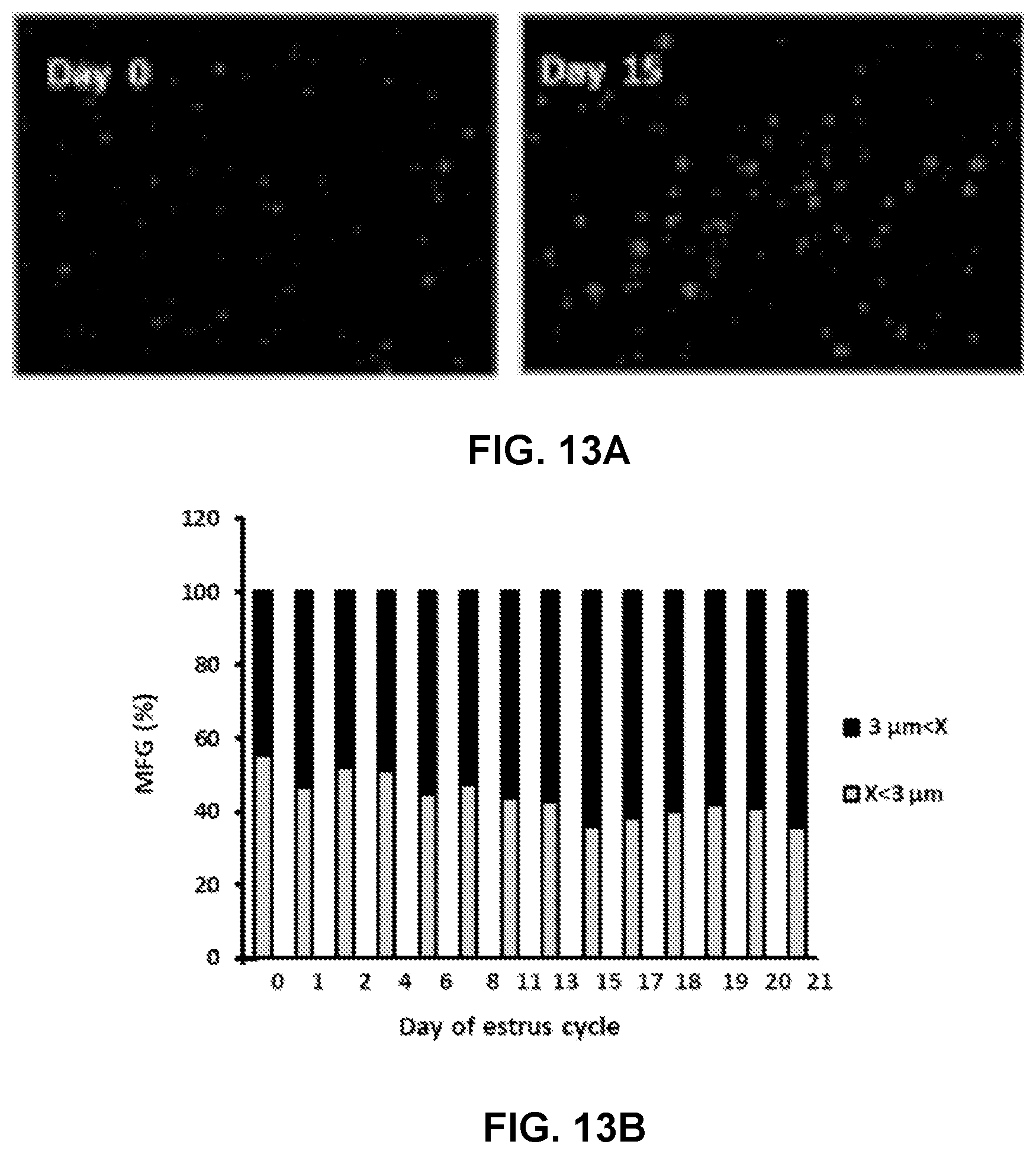 Patent US12504393 Figure 14 – Method and system for determining the progesterone-associated physiological state of lactating cows