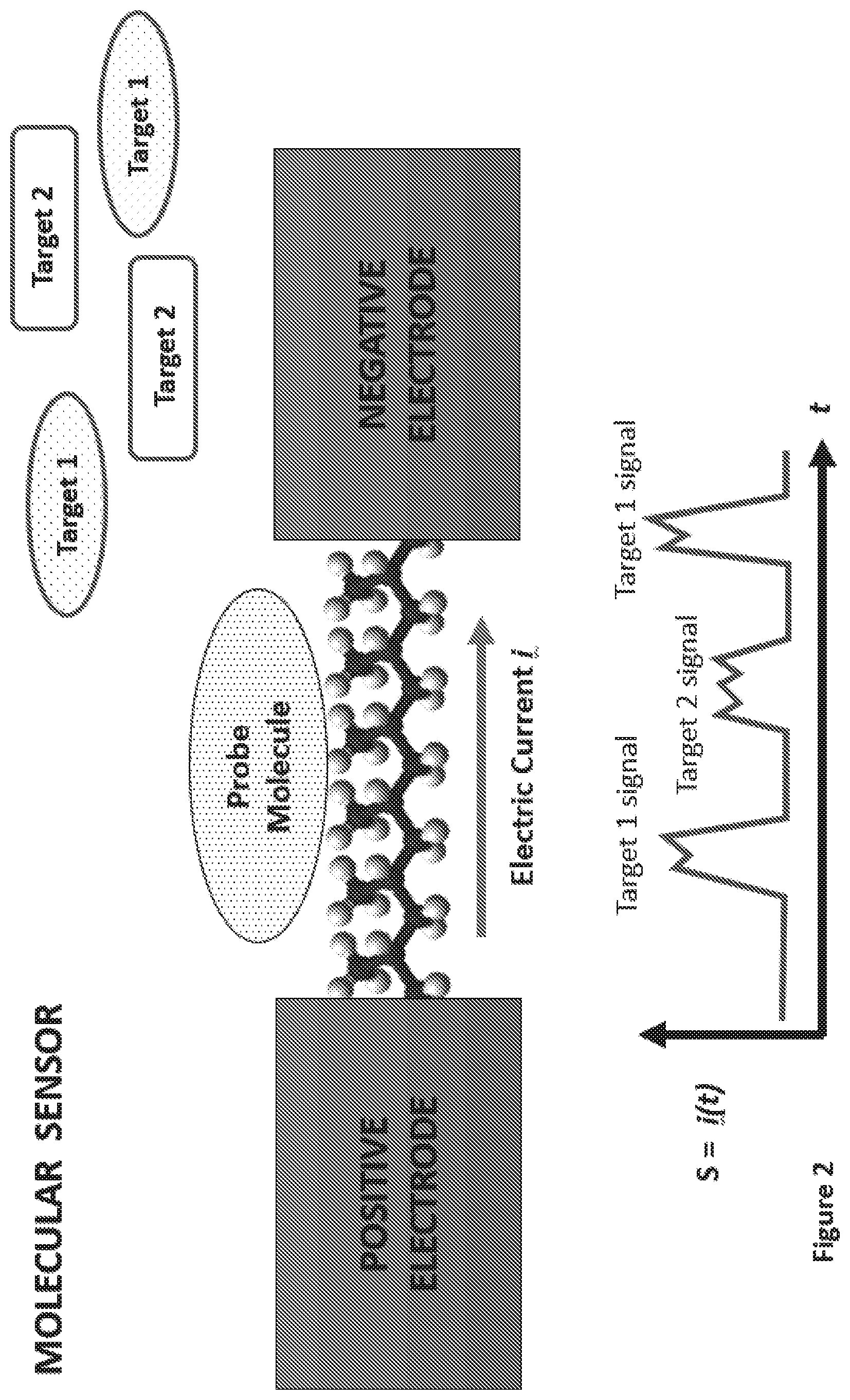 Patent US12504396 Figure 2 – Polycyclic aromatic bridges for molecular electronic sensors