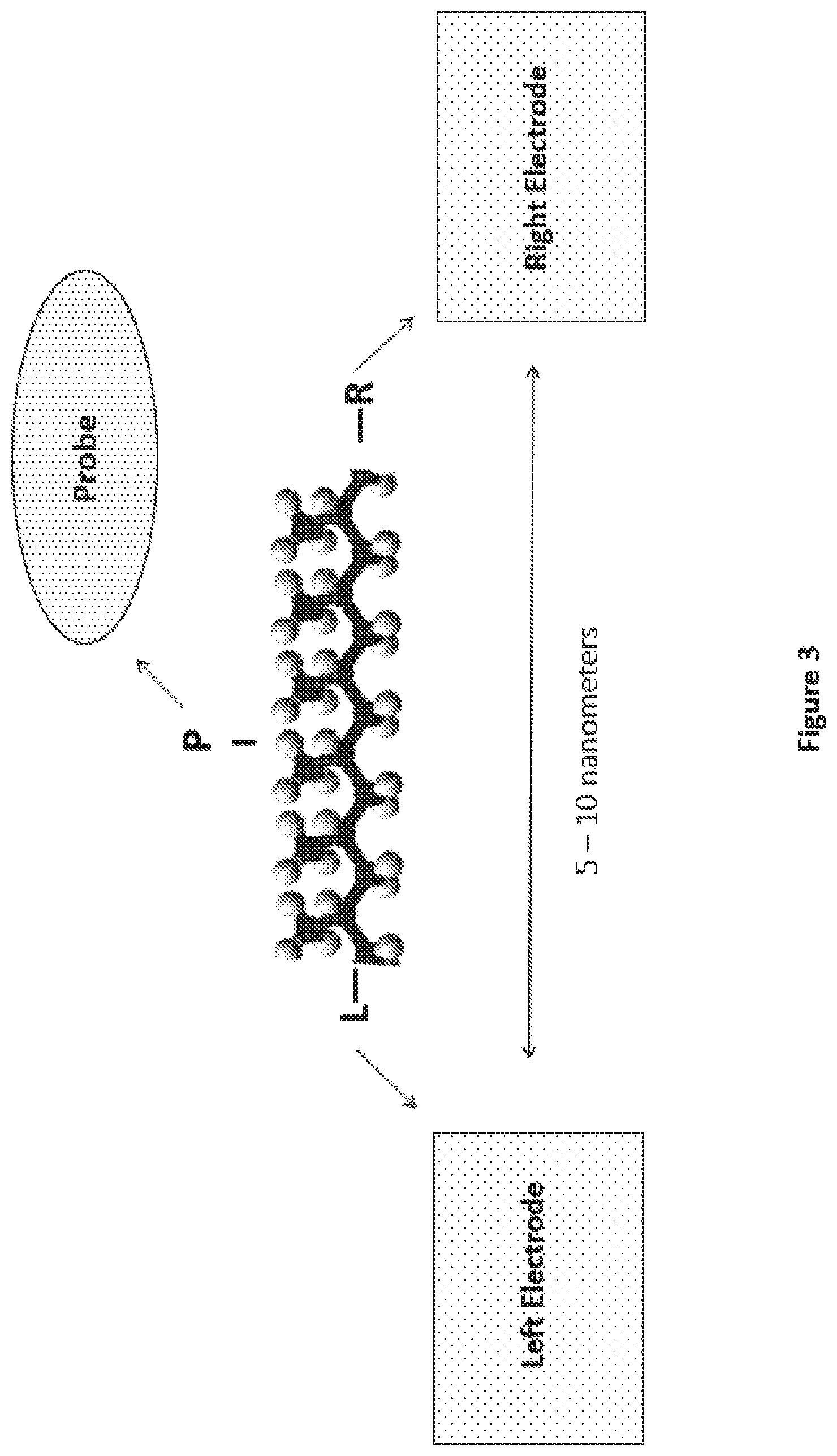 Patent US12504396 Figure 3 – Polycyclic aromatic bridges for molecular electronic sensors