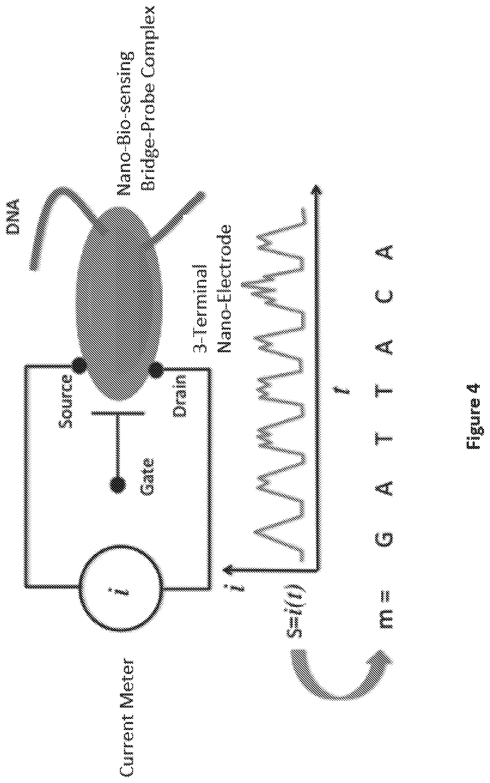 Patent US12504396 Figure 4 – Polycyclic aromatic bridges for molecular electronic sensors