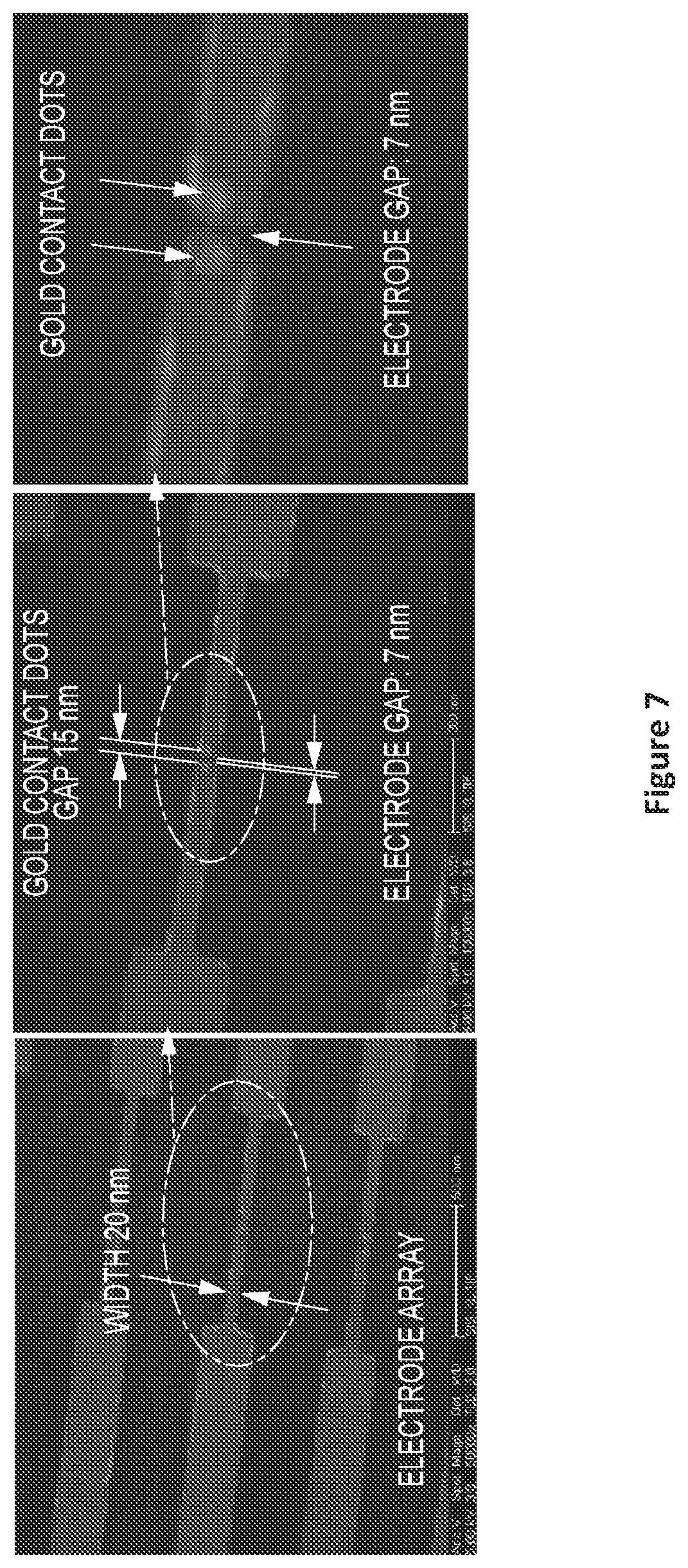 Patent US12504396 Figure 7 – Polycyclic aromatic bridges for molecular electronic sensors