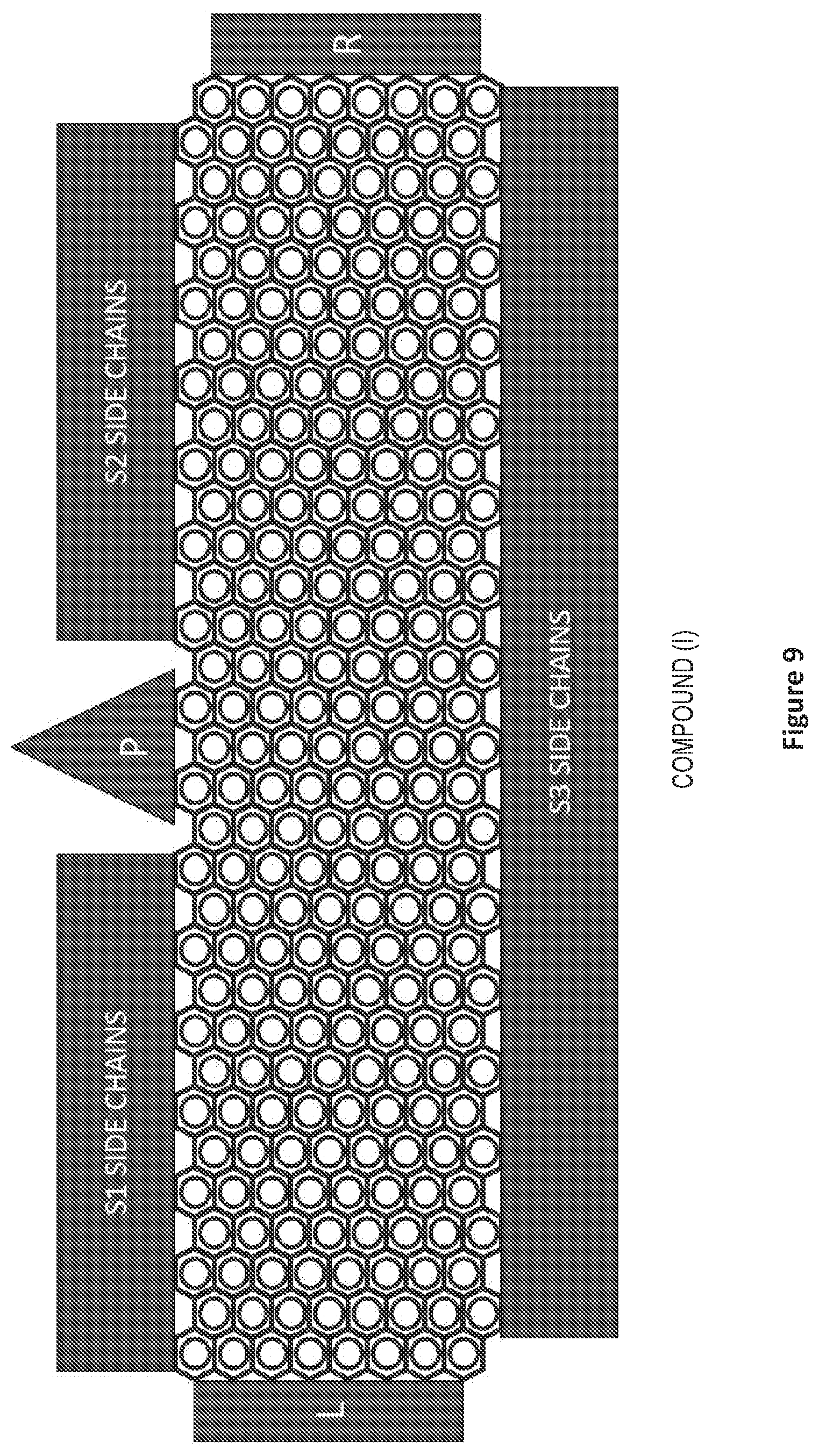 Patent US12504396 Figure 9 – Polycyclic aromatic bridges for molecular electronic sensors