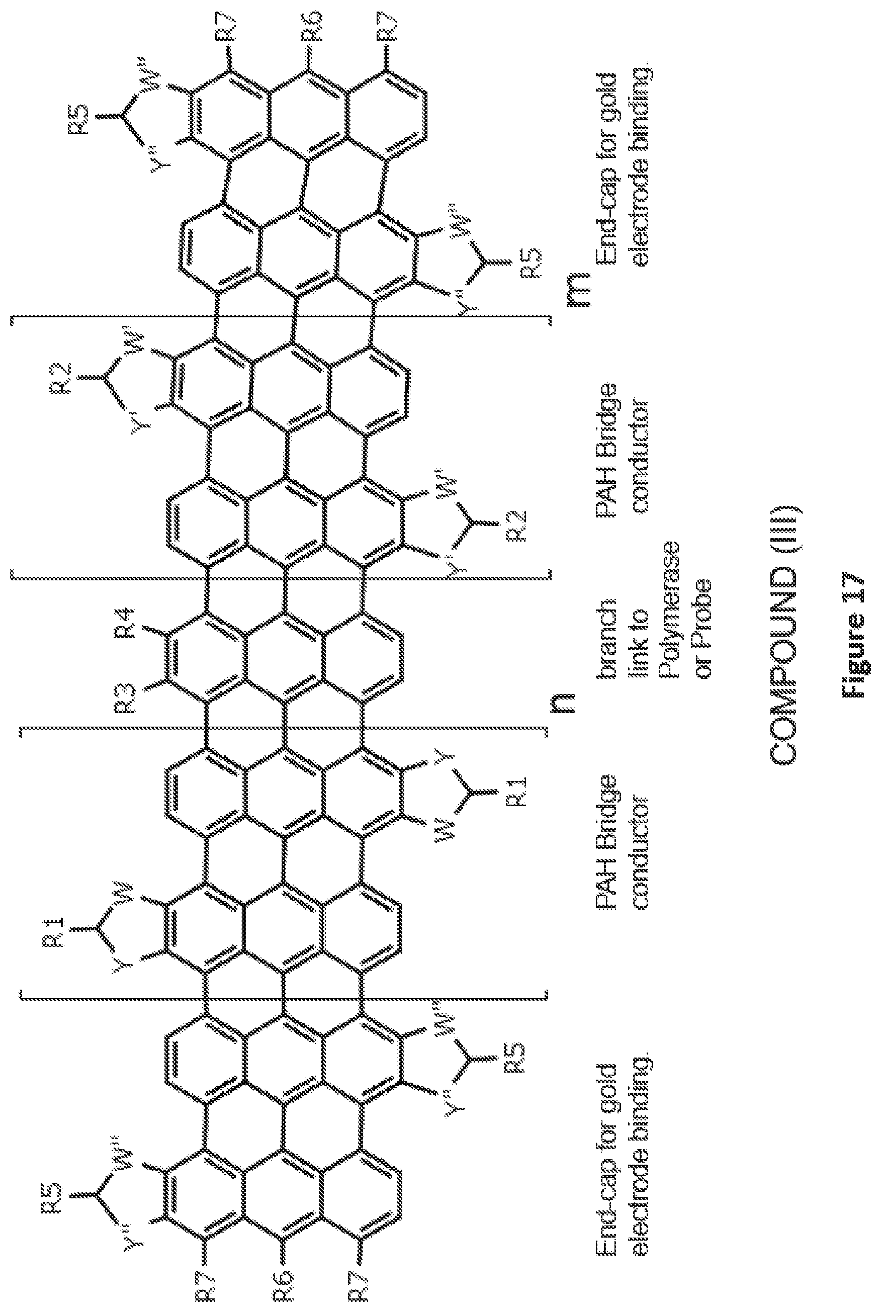 Patent US12504396 Figure 17 – Polycyclic aromatic bridges for molecular electronic sensors