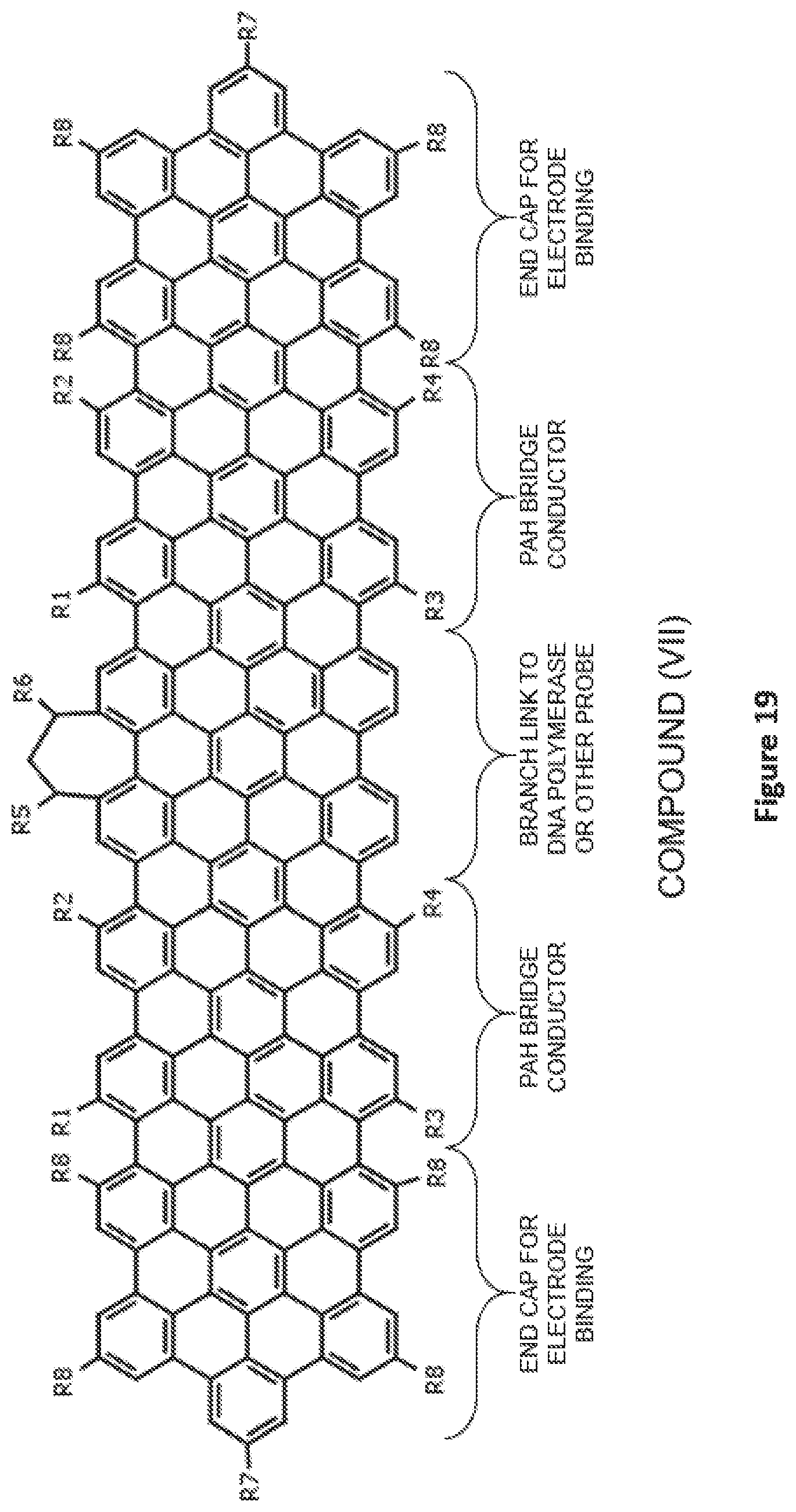 Patent US12504396 Figure 19 – Polycyclic aromatic bridges for molecular electronic sensors