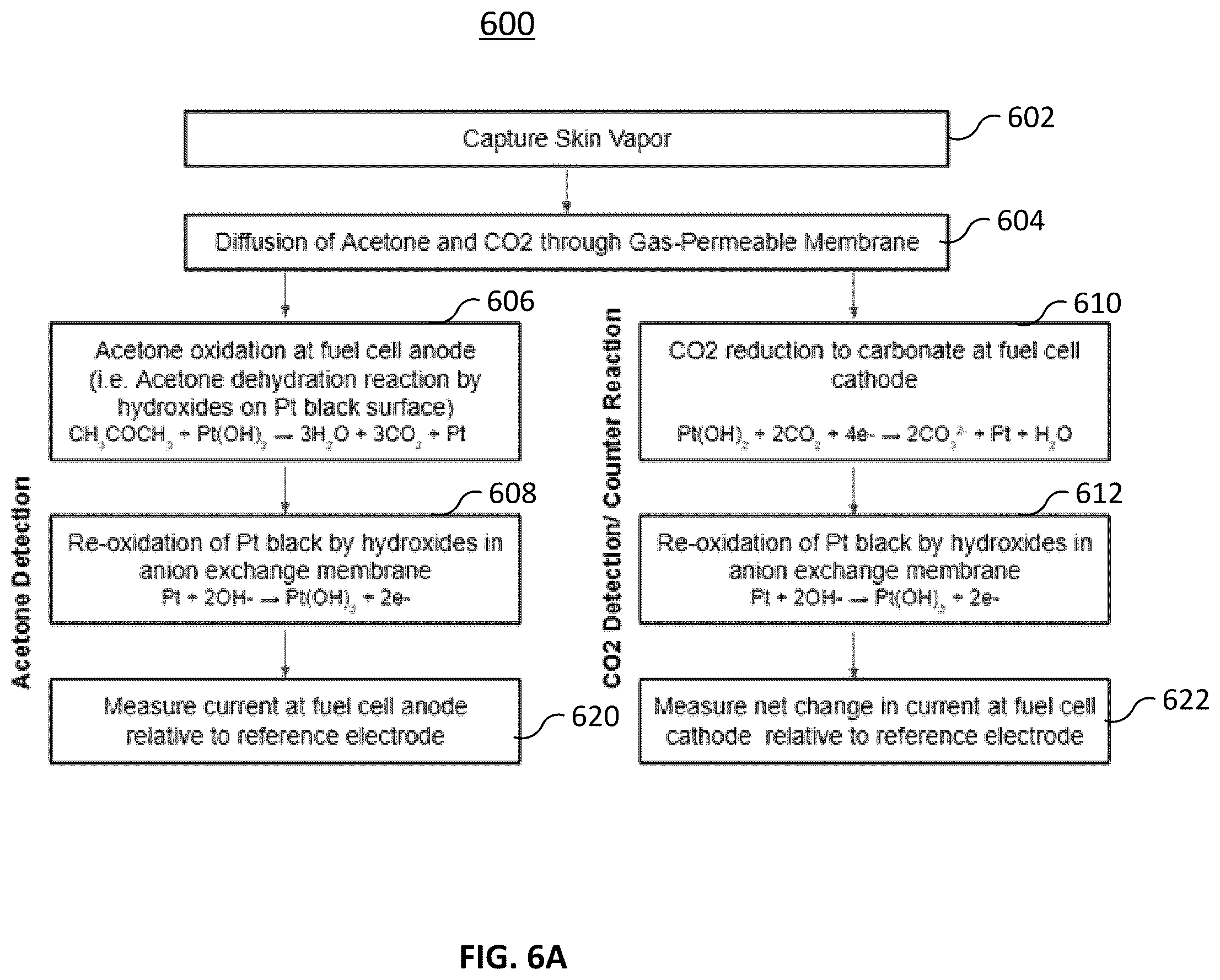 Patent US12504397 Figure 10 – Systems and methods for monitoring of acetone