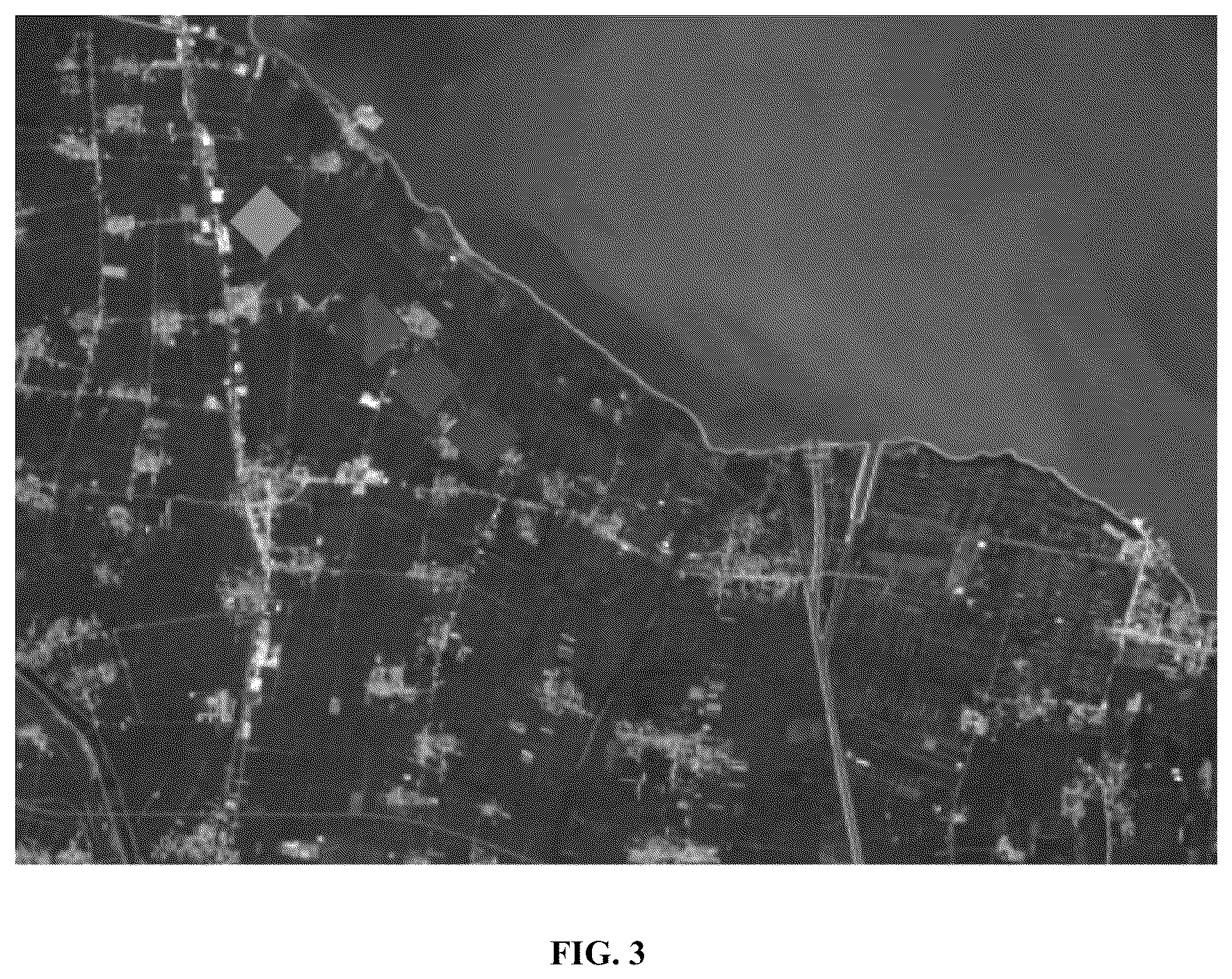 Patent US12504416 Figure 3 – Surface water quality monitoring method based on high spatial resolution satellite