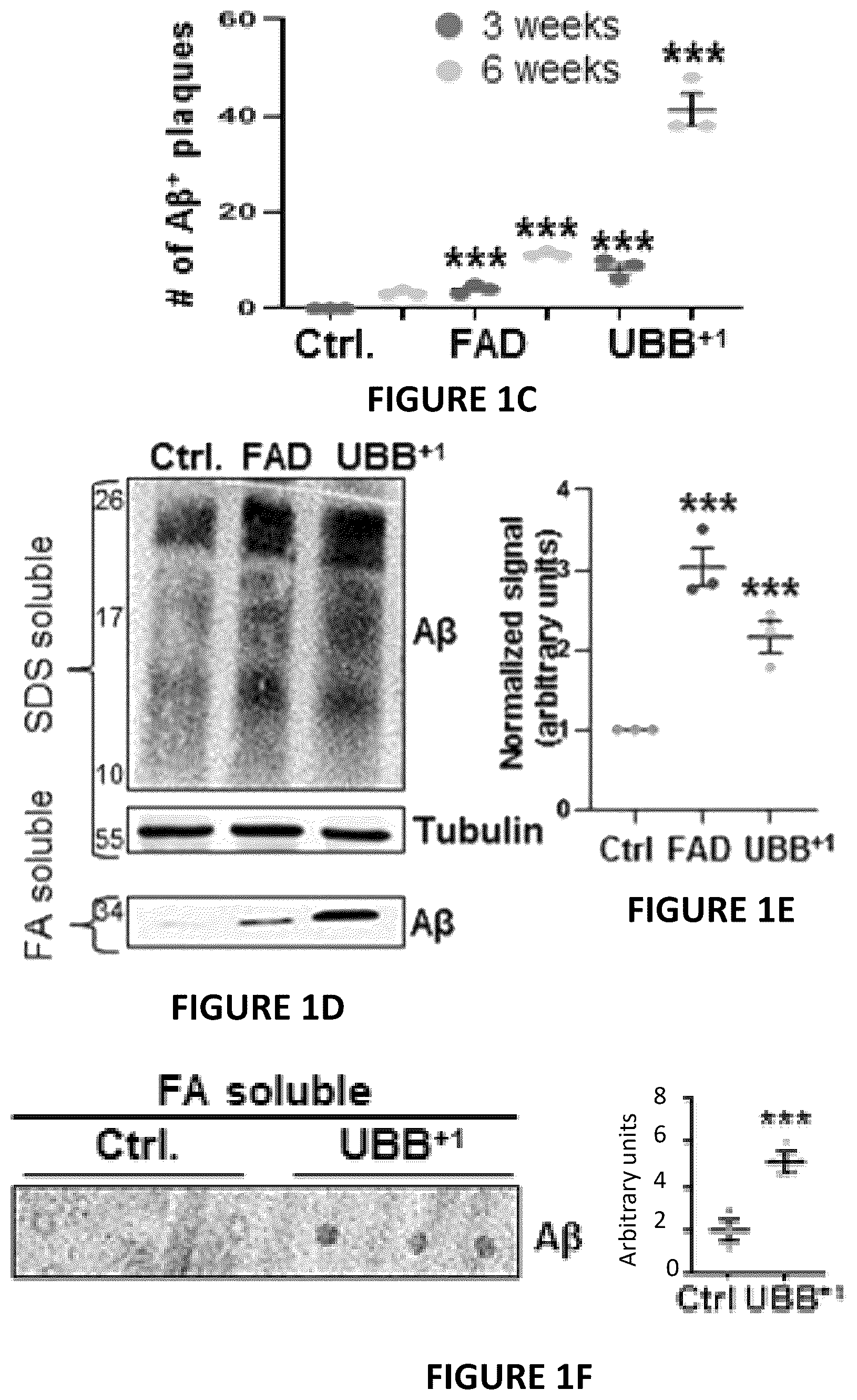 Patent US12504424 Figure 2 – Systems and methods for in-vitro modeling of neurodegenerative diseases