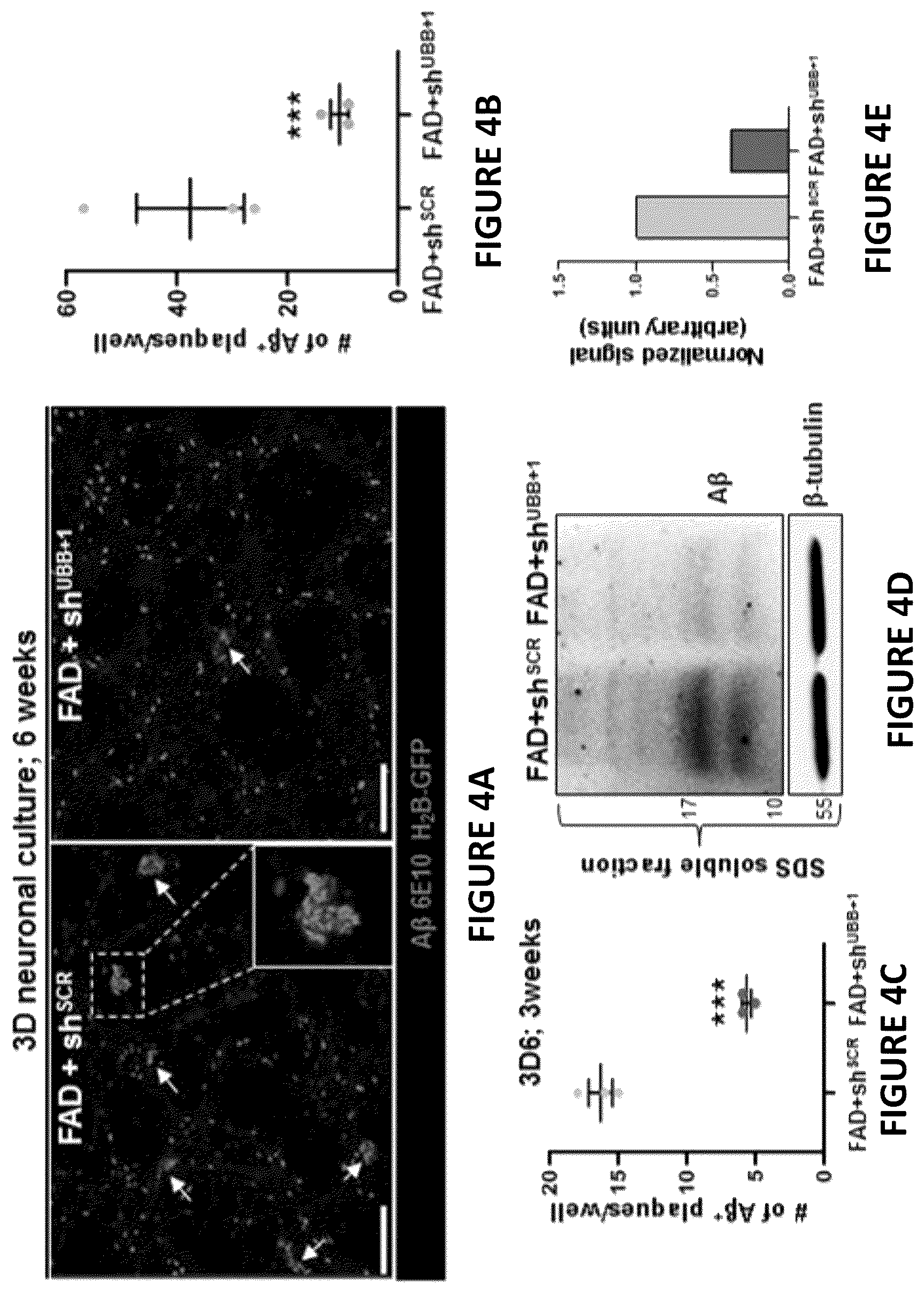Patent US12504424 Figure 9 – Systems and methods for in-vitro modeling of neurodegenerative diseases