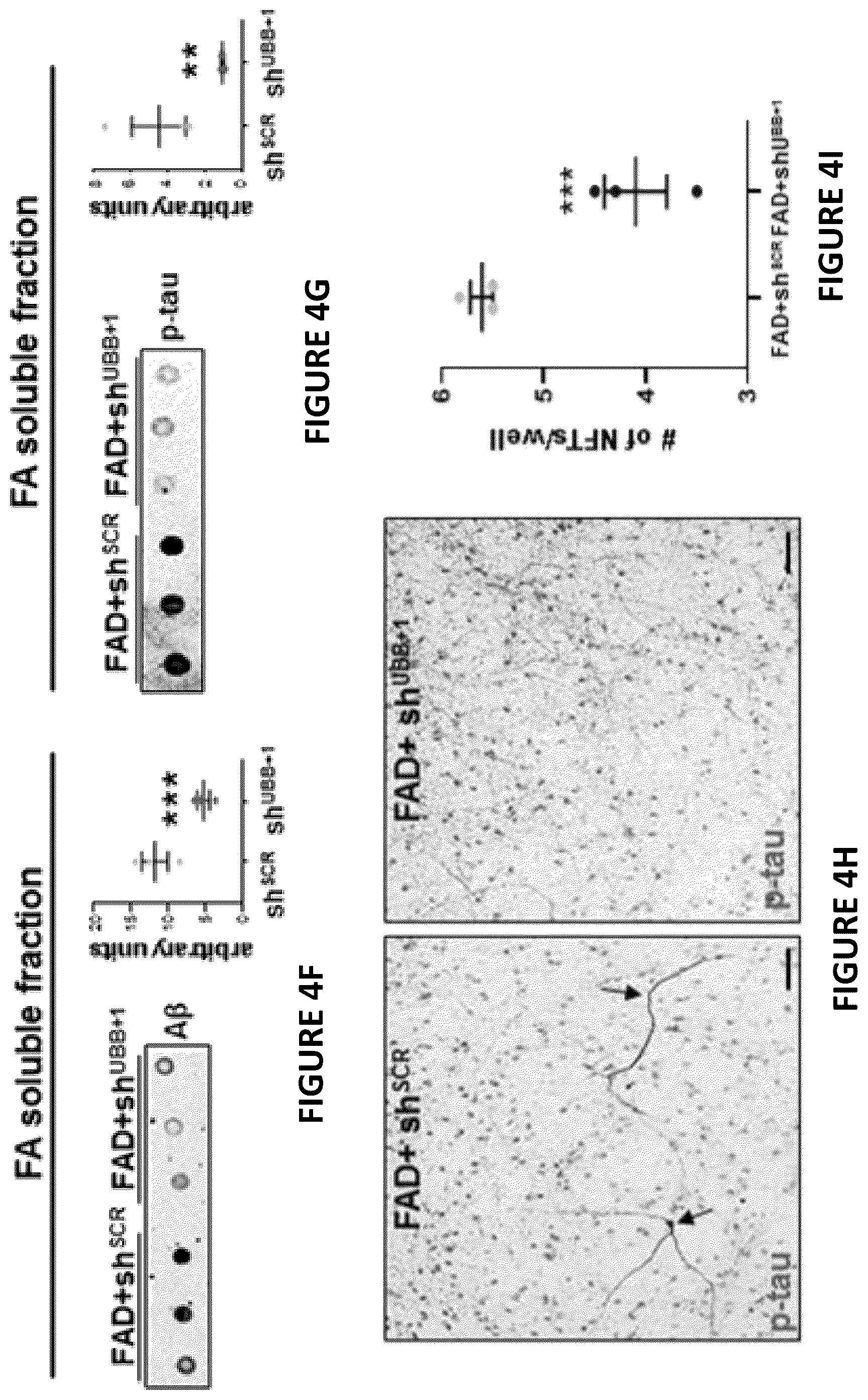 Patent US12504424 Figure 10 – Systems and methods for in-vitro modeling of neurodegenerative diseases