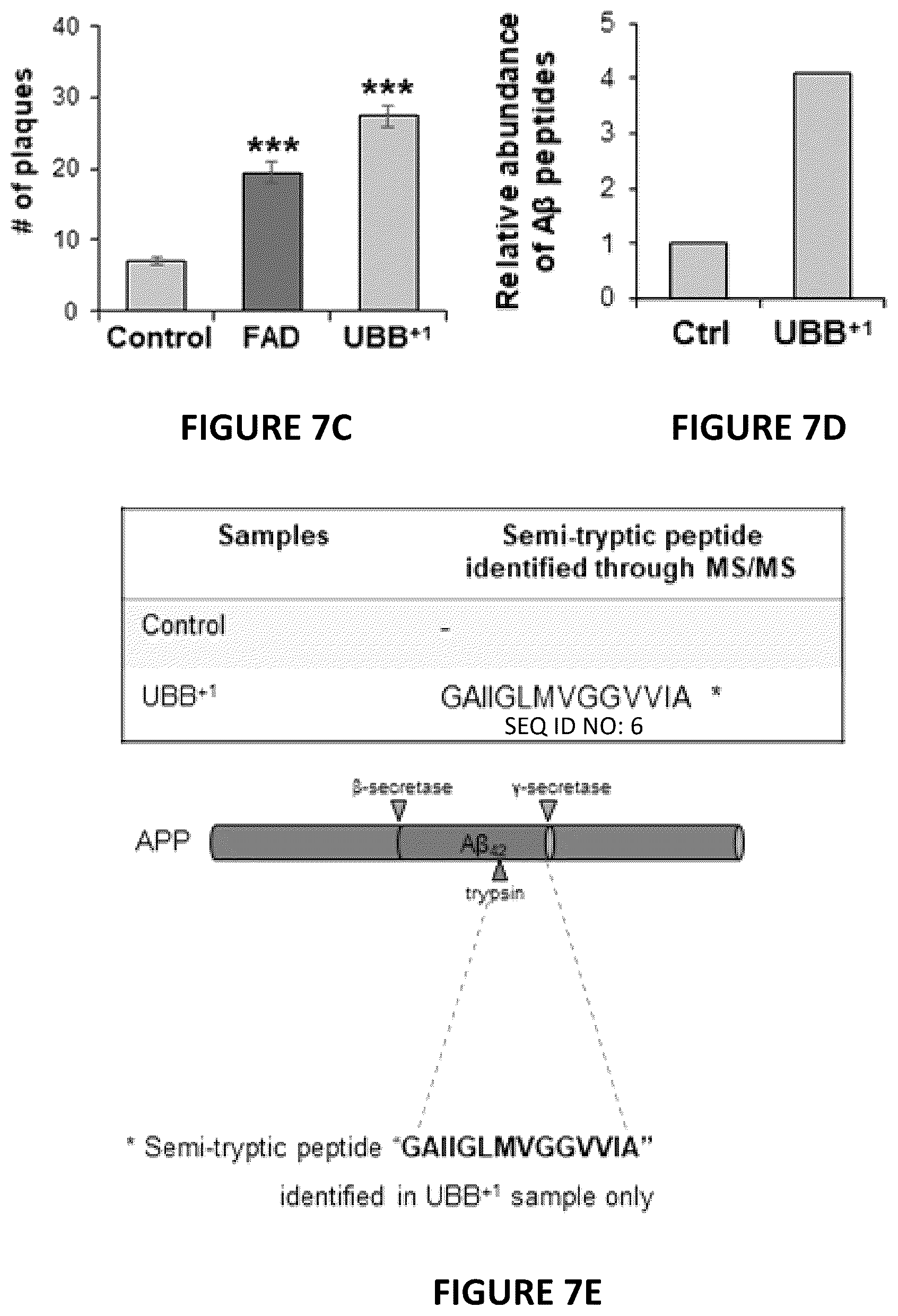 Patent US12504424 Figure 14 – Systems and methods for in-vitro modeling of neurodegenerative diseases