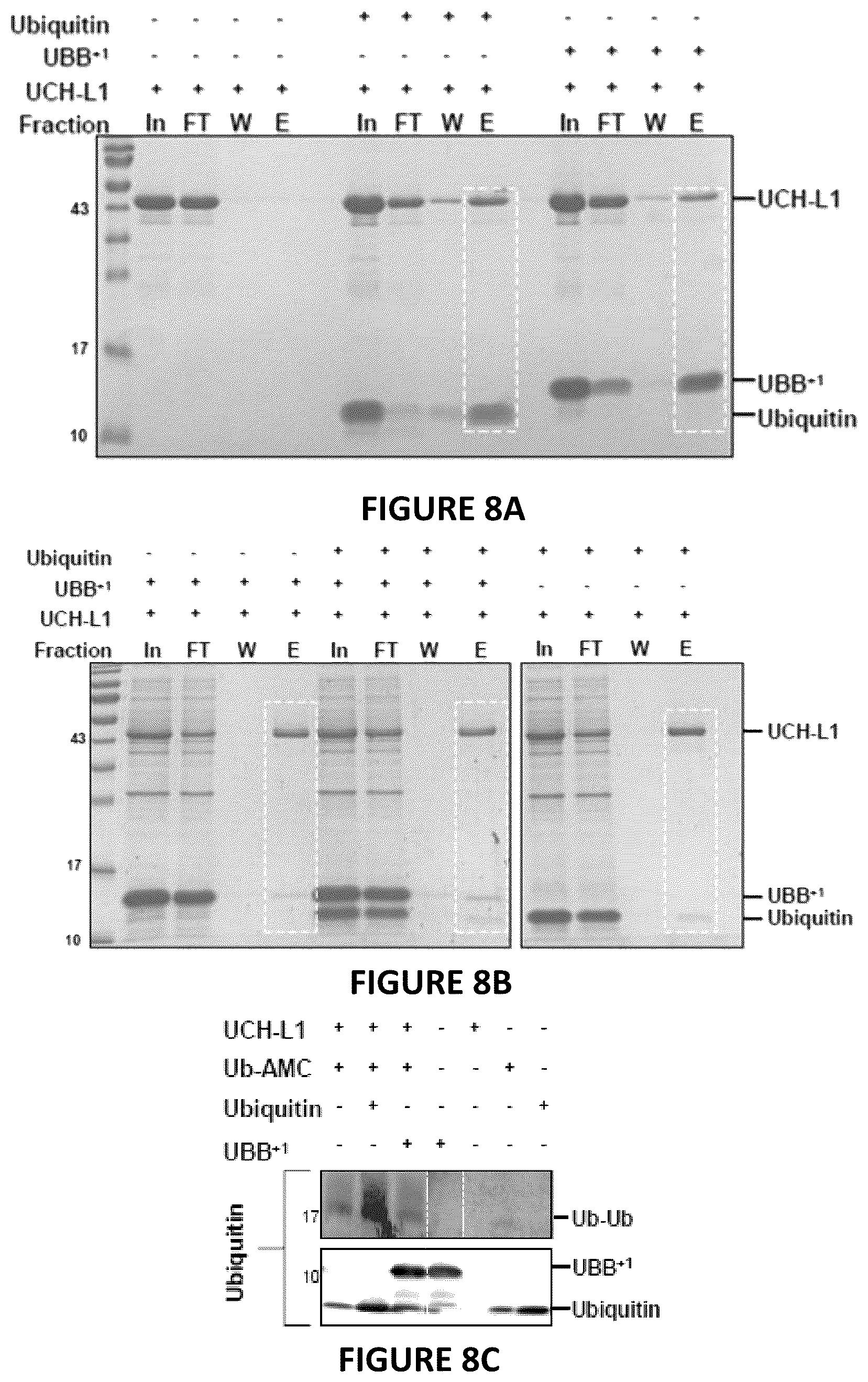 Patent US12504424 Figure 15 – Systems and methods for in-vitro modeling of neurodegenerative diseases