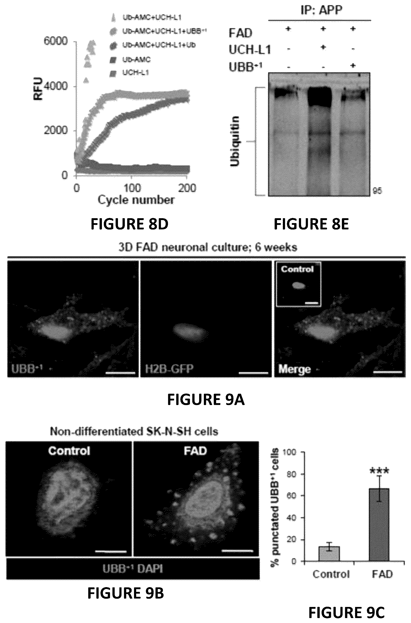Patent US12504424 Figure 16 – Systems and methods for in-vitro modeling of neurodegenerative diseases