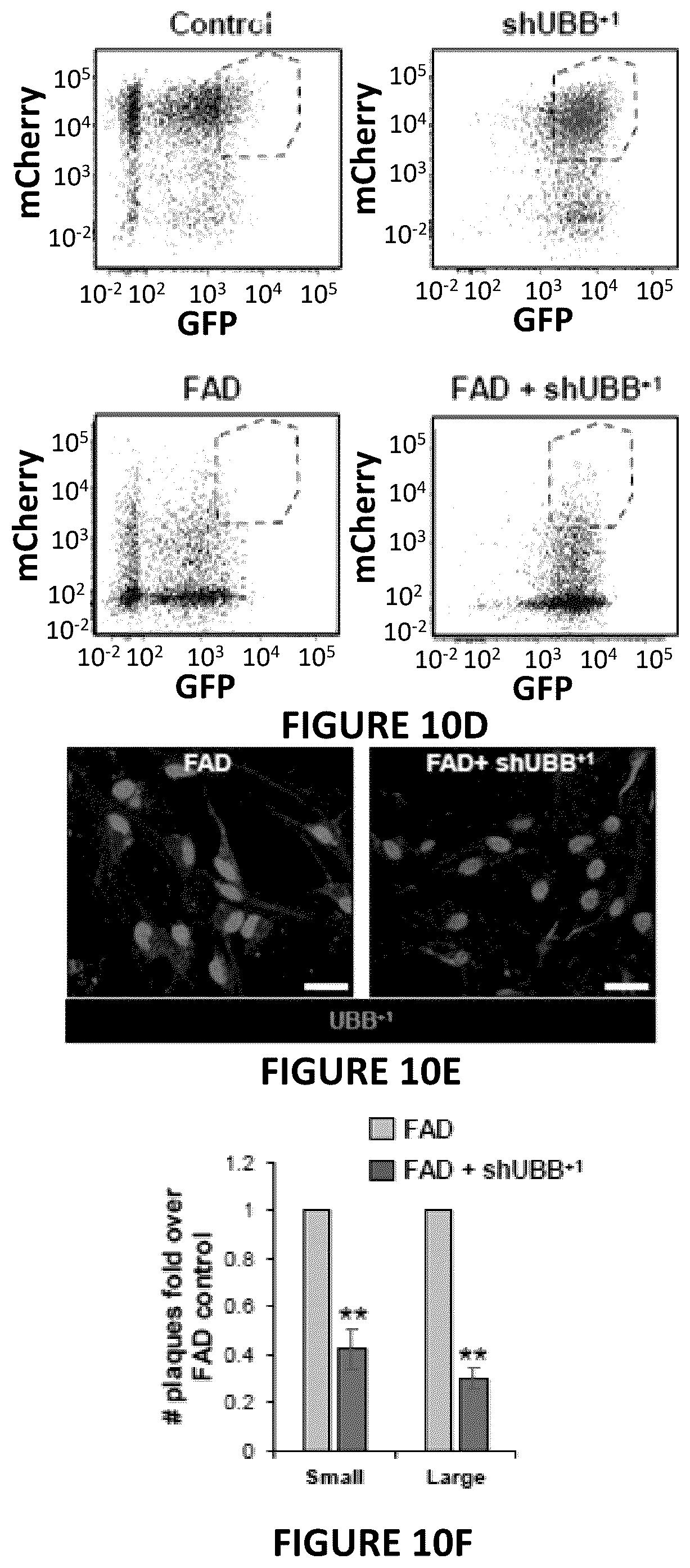 Patent US12504424 Figure 18 – Systems and methods for in-vitro modeling of neurodegenerative diseases
