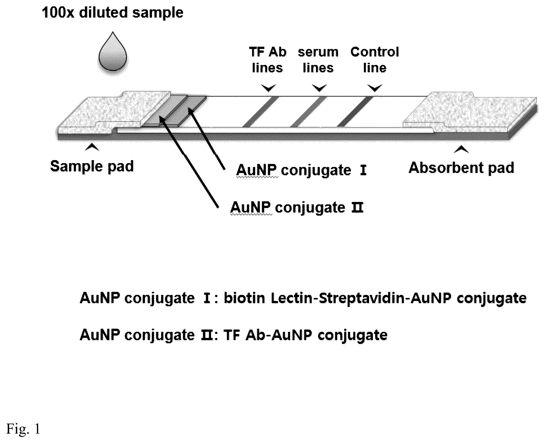 Patent US12504427 Figure 1 – Assay for rapid detection of cerebrospinal fluid leaks