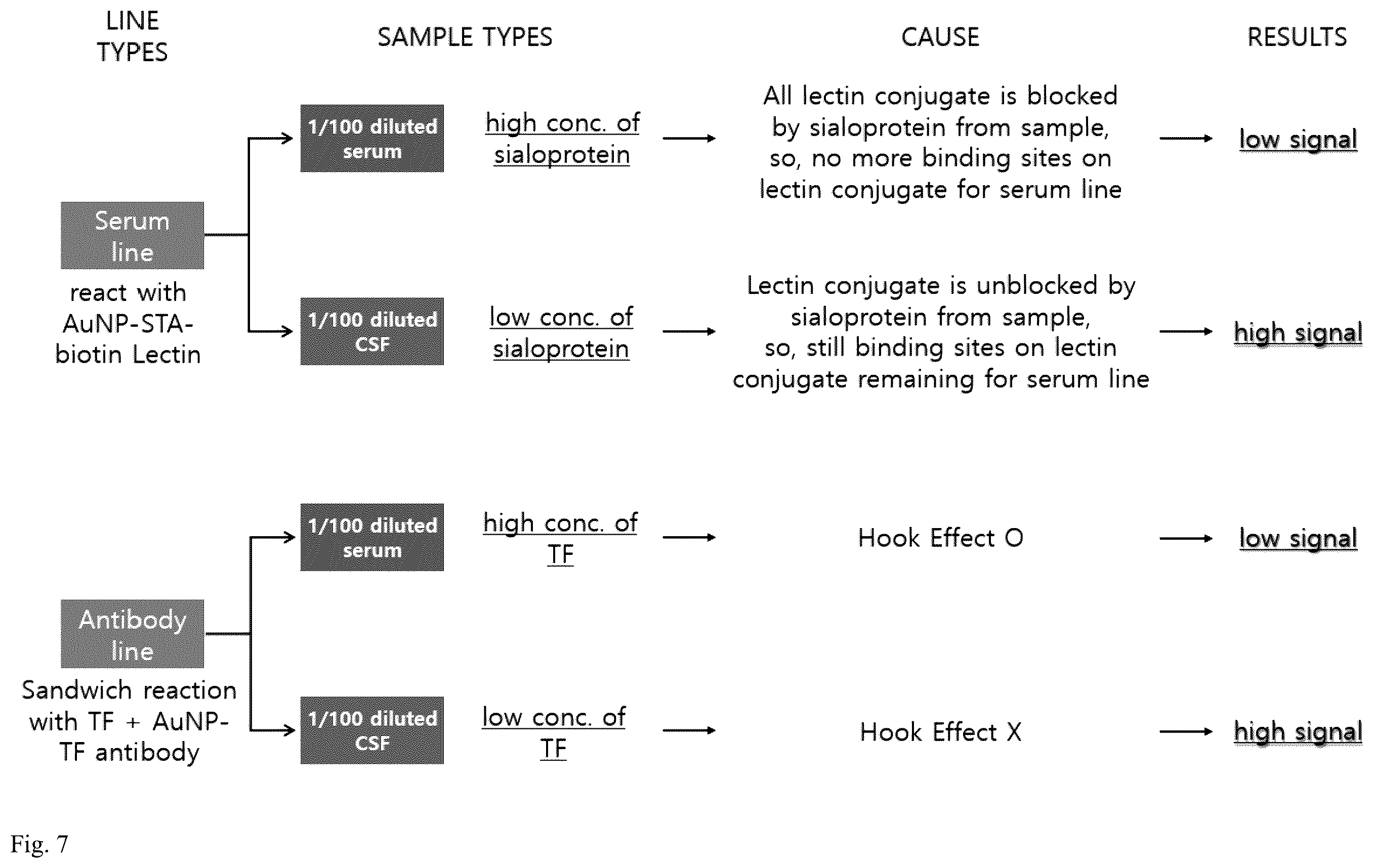 Patent US12504427 Figure 7 – Assay for rapid detection of cerebrospinal fluid leaks