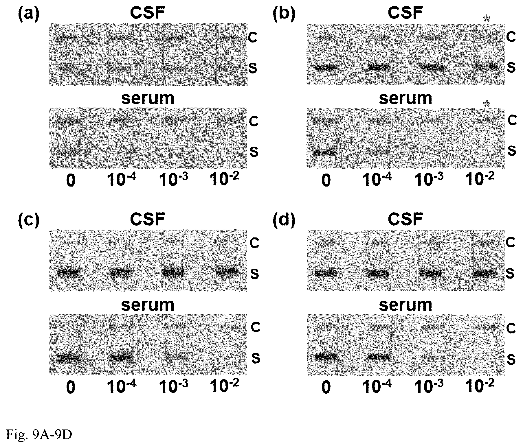 Patent US12504427 Figure 9 – Assay for rapid detection of cerebrospinal fluid leaks