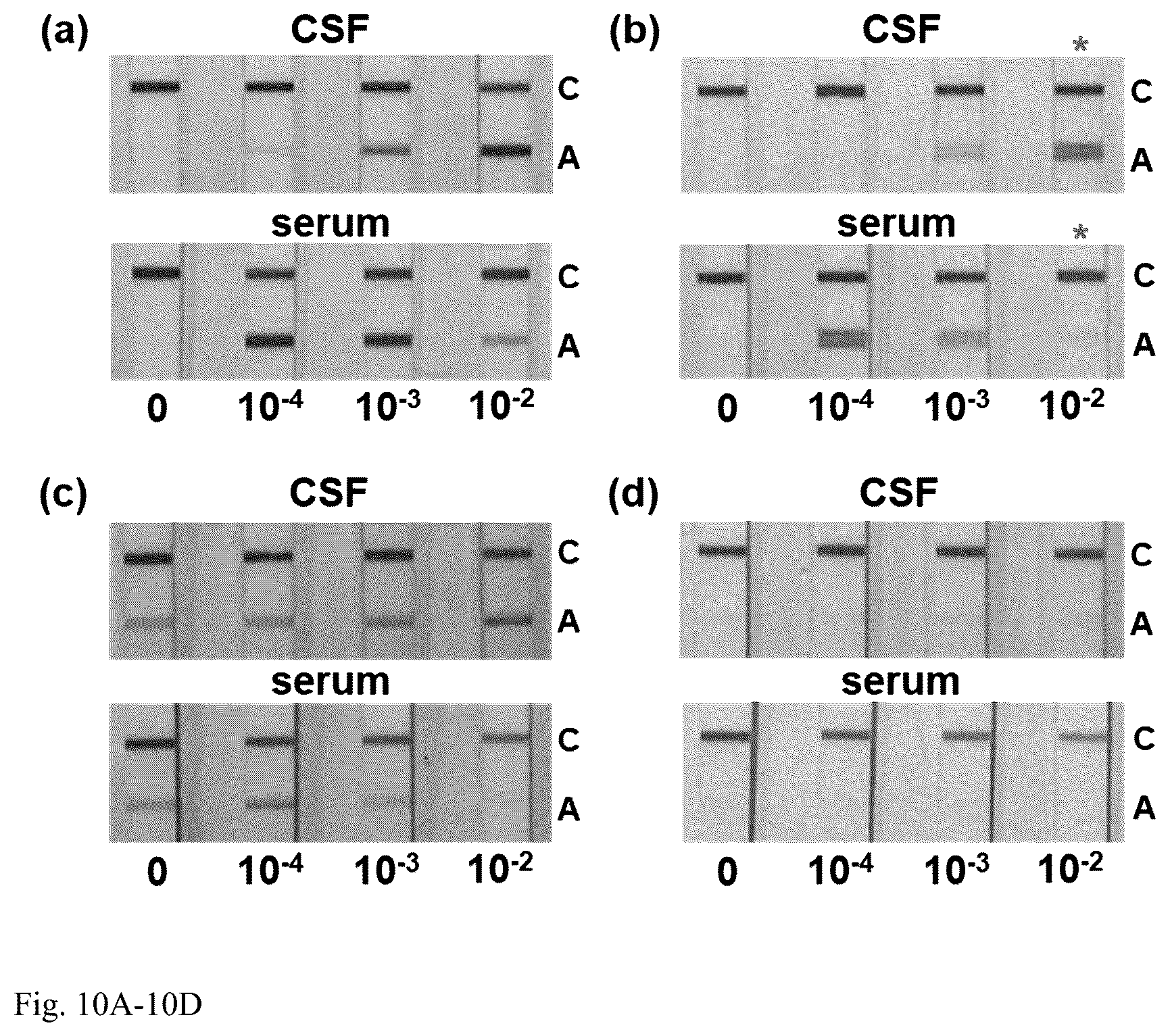 Patent US12504427 Figure 10 – Assay for rapid detection of cerebrospinal fluid leaks