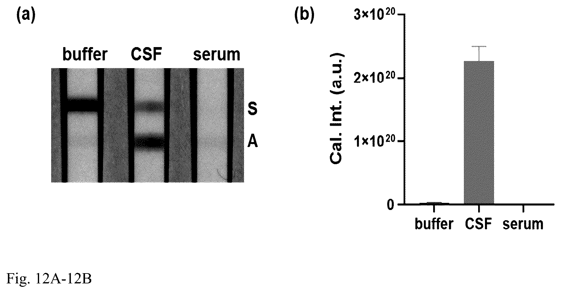 Patent US12504427 Figure 12 – Assay for rapid detection of cerebrospinal fluid leaks