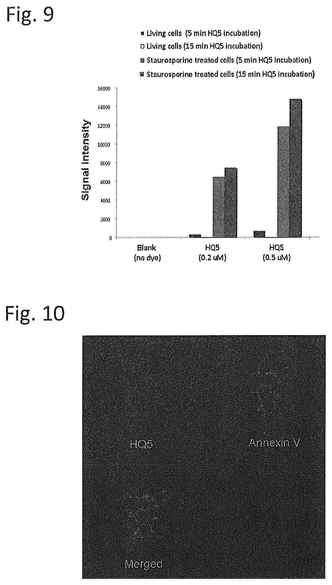 Patent US12504428 Figure 5 – Protein target complex