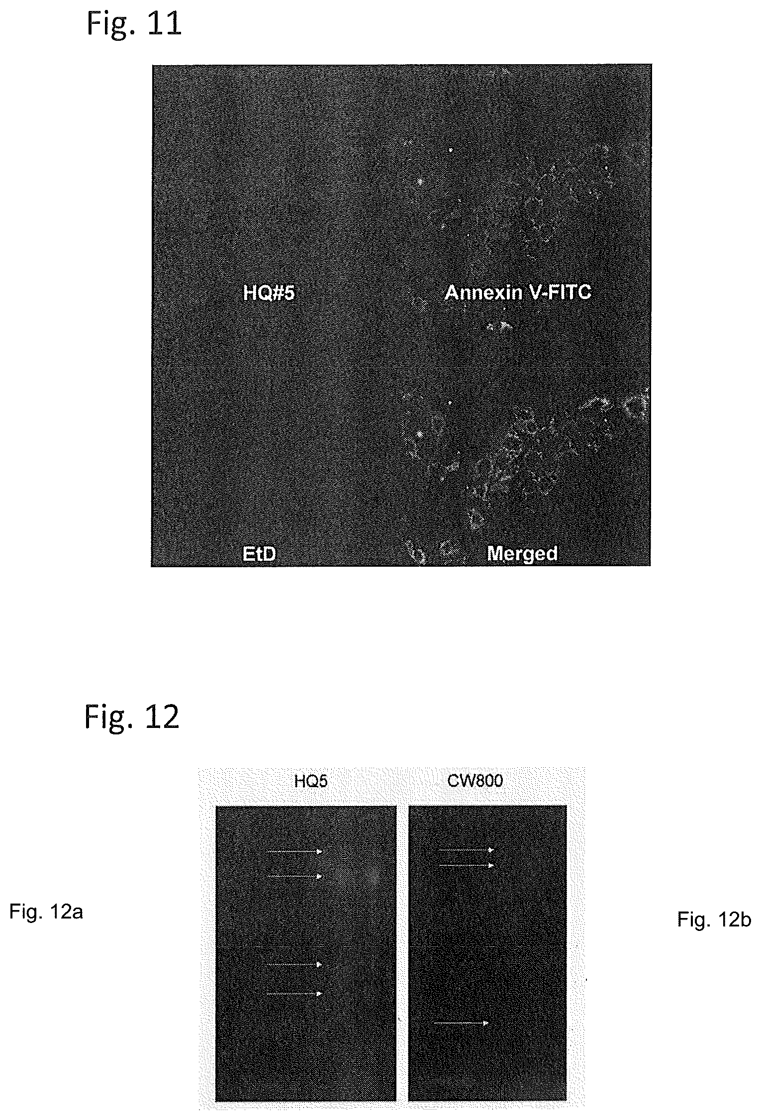 Patent US12504428 Figure 6 – Protein target complex