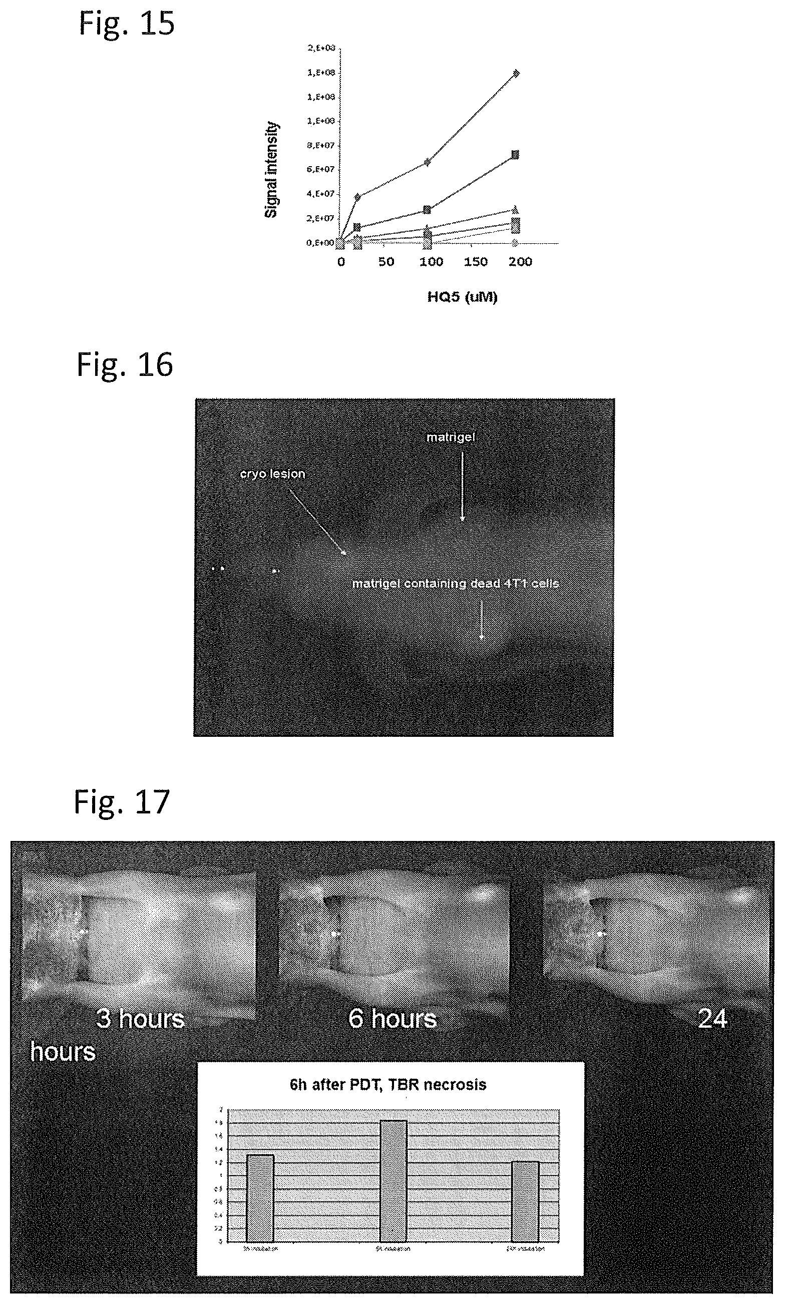 Patent US12504428 Figure 8 – Protein target complex