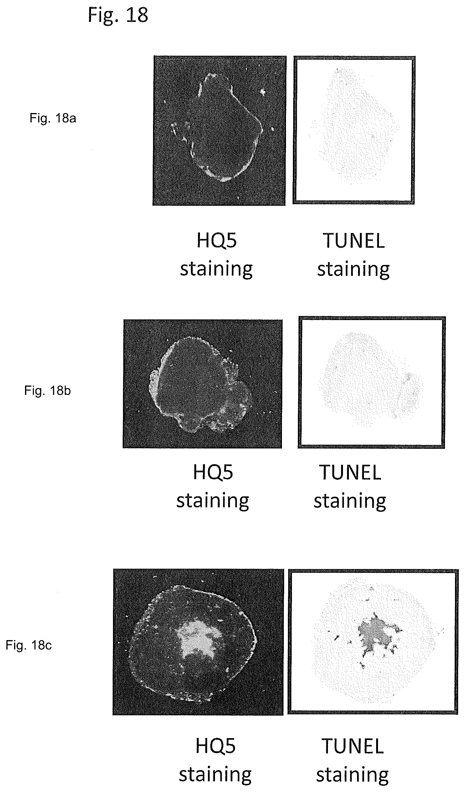 Patent US12504428 Figure 9 – Protein target complex