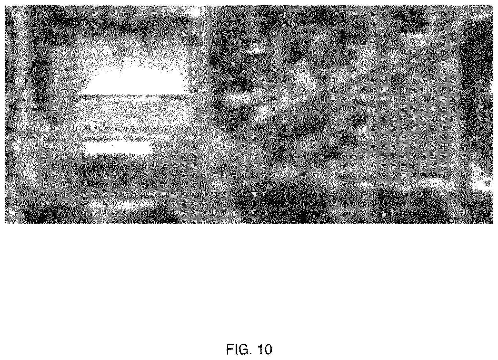 Patent US12504950 Figure 10 – Processing with compact arithmetic processing element