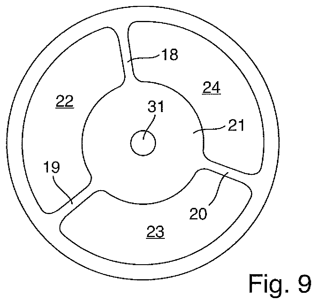 Patent US12508069 Figure 4 – Multi-lumen probe