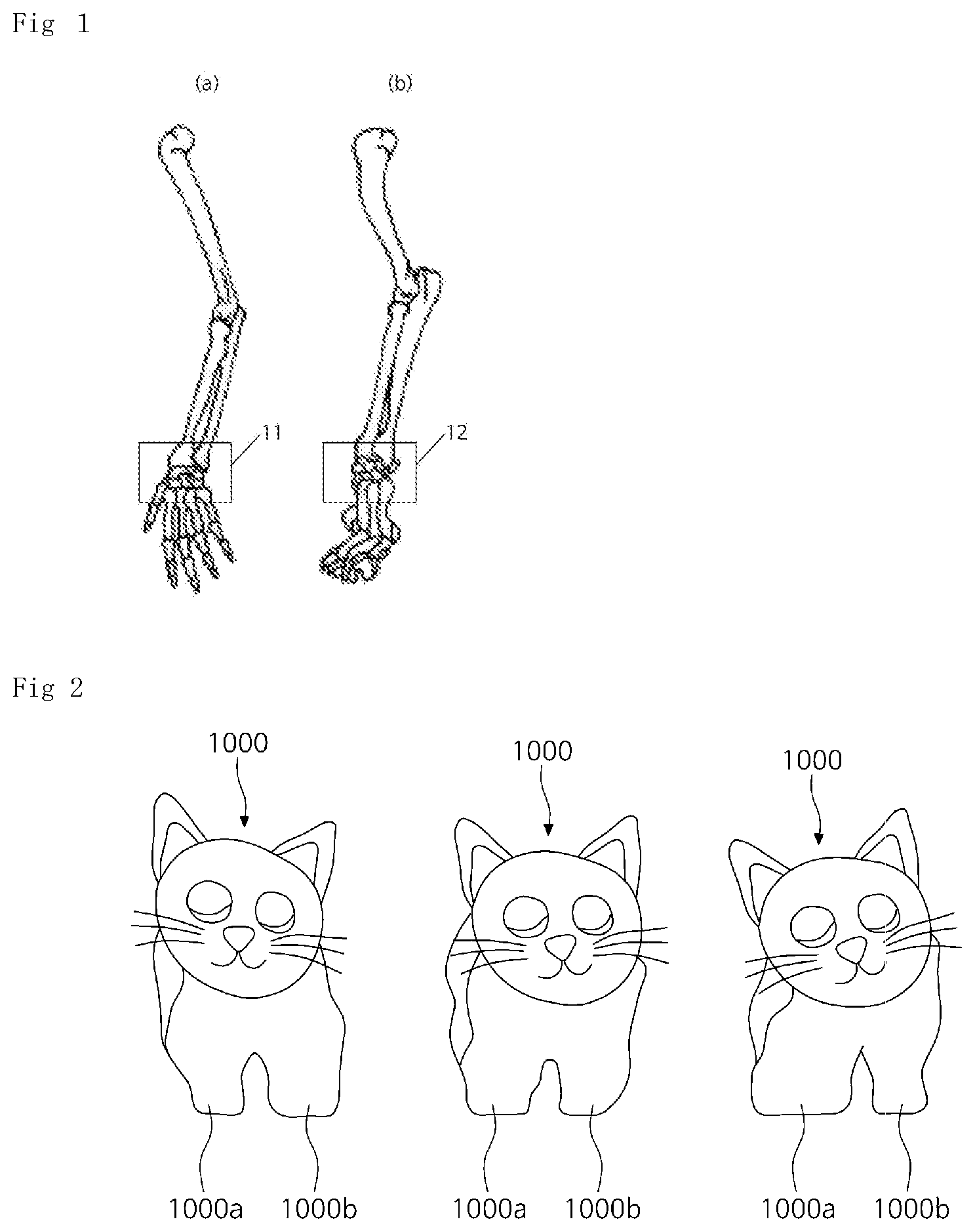 Patent US12508115 Figure 1 – Fixed band belt set for treating and caring for cat