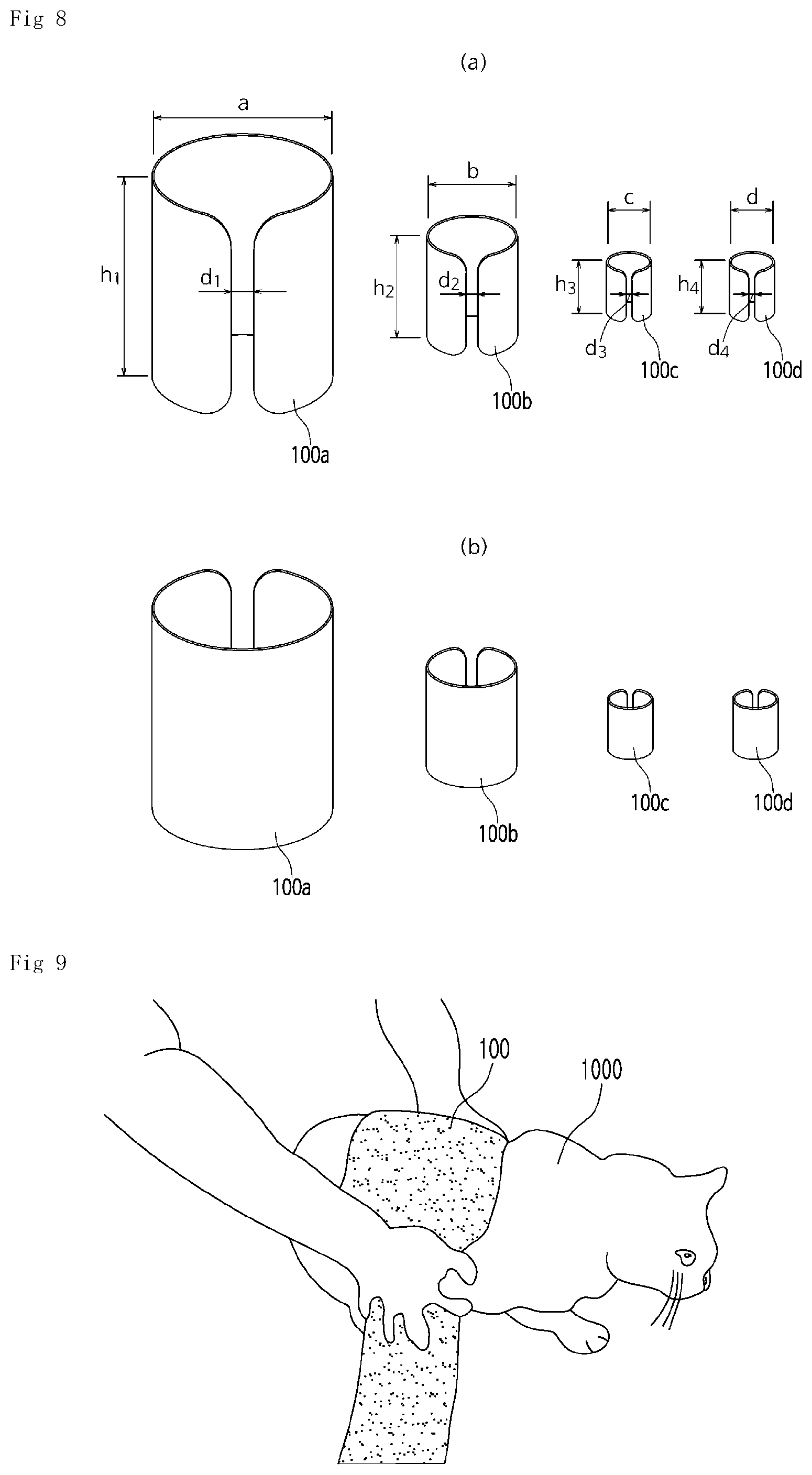 Patent US12508115 Figure 6 – Fixed band belt set for treating and caring for cat